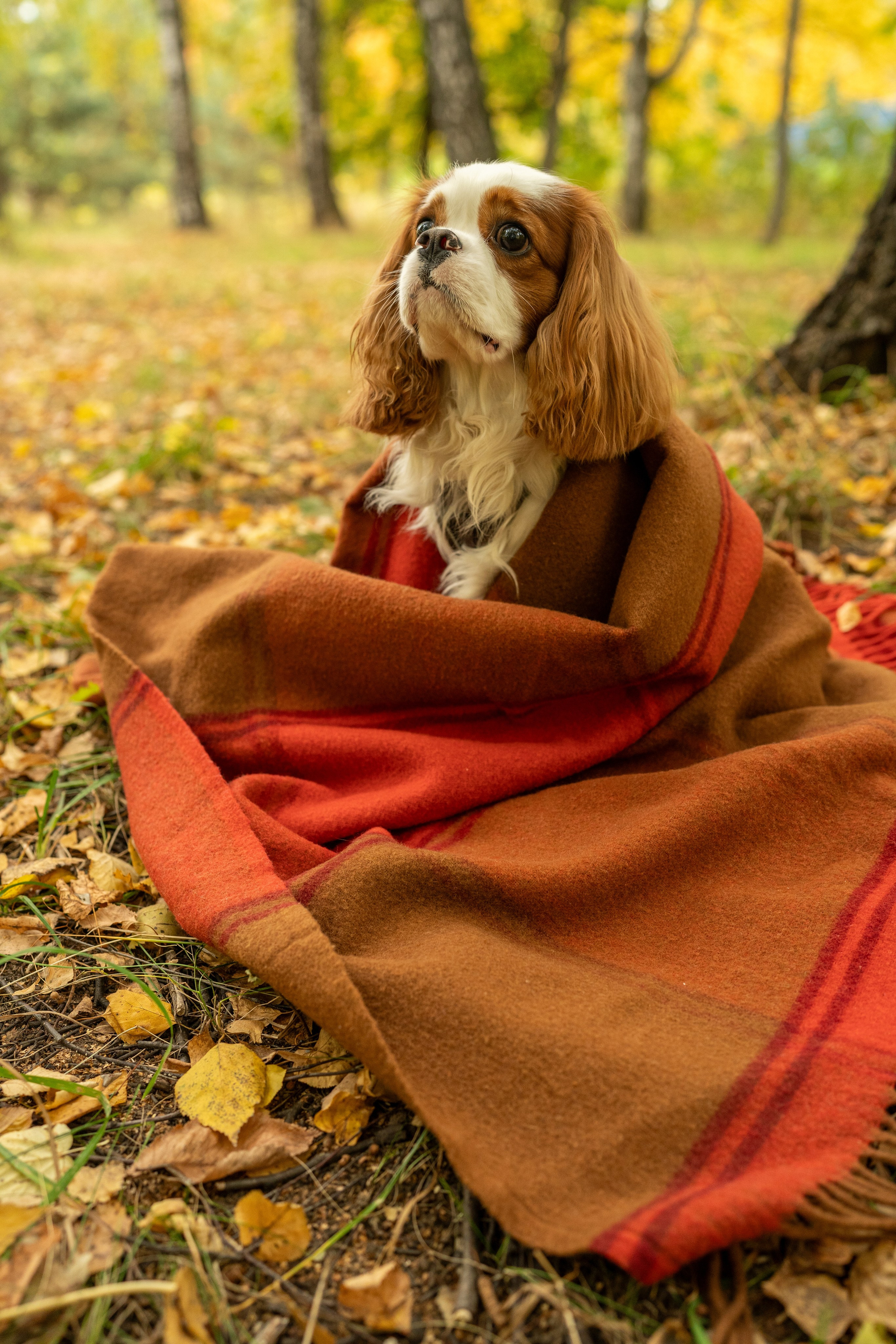 Портрет не в студии. Фотосессия портрет, ню, будуар, стрит фотограф Москва Юлия Кафизова