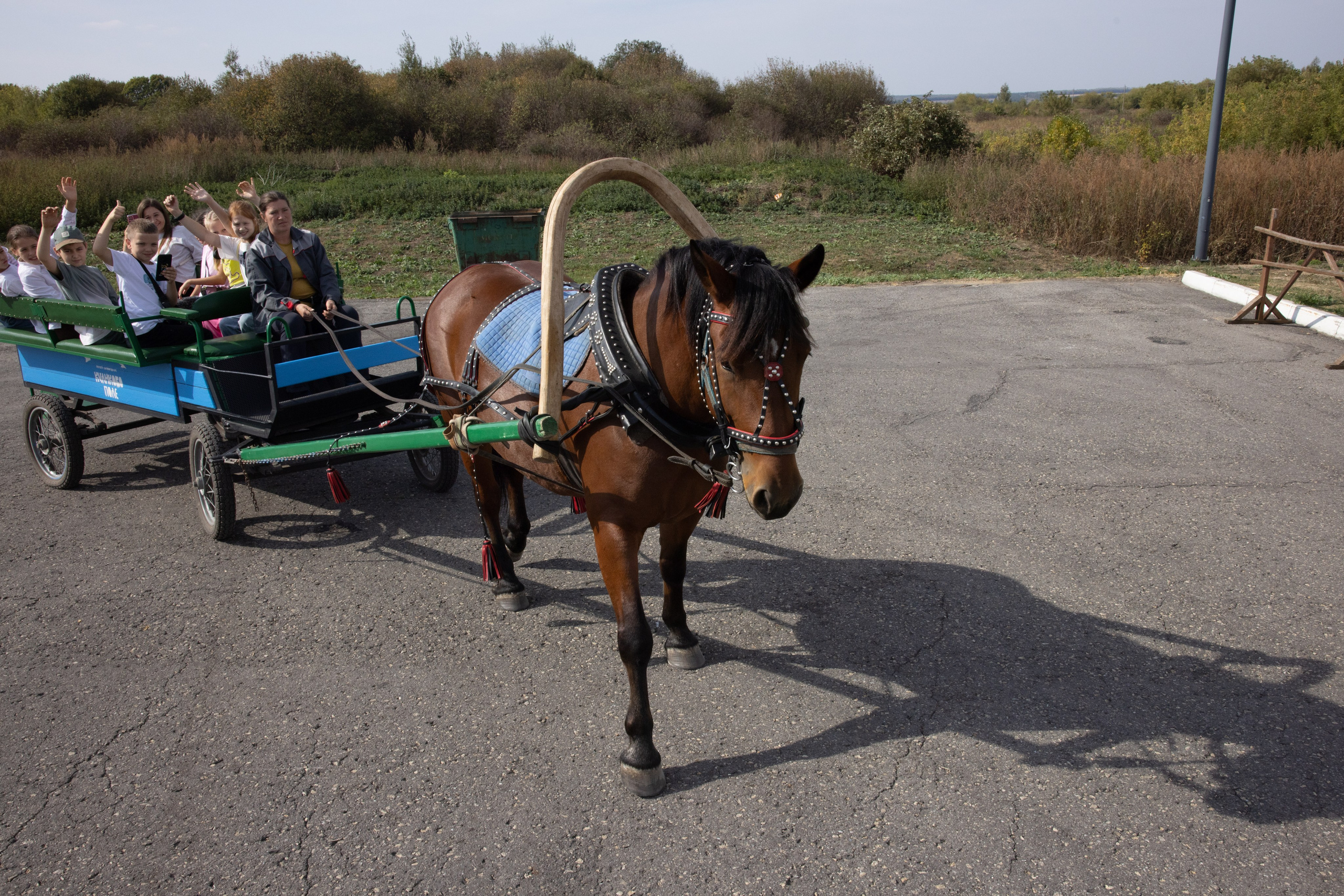 Поездка на поле Кулеково. Фотограф в Туле Крупский АнДРей. Фотостудия «КАДР71» в Туле