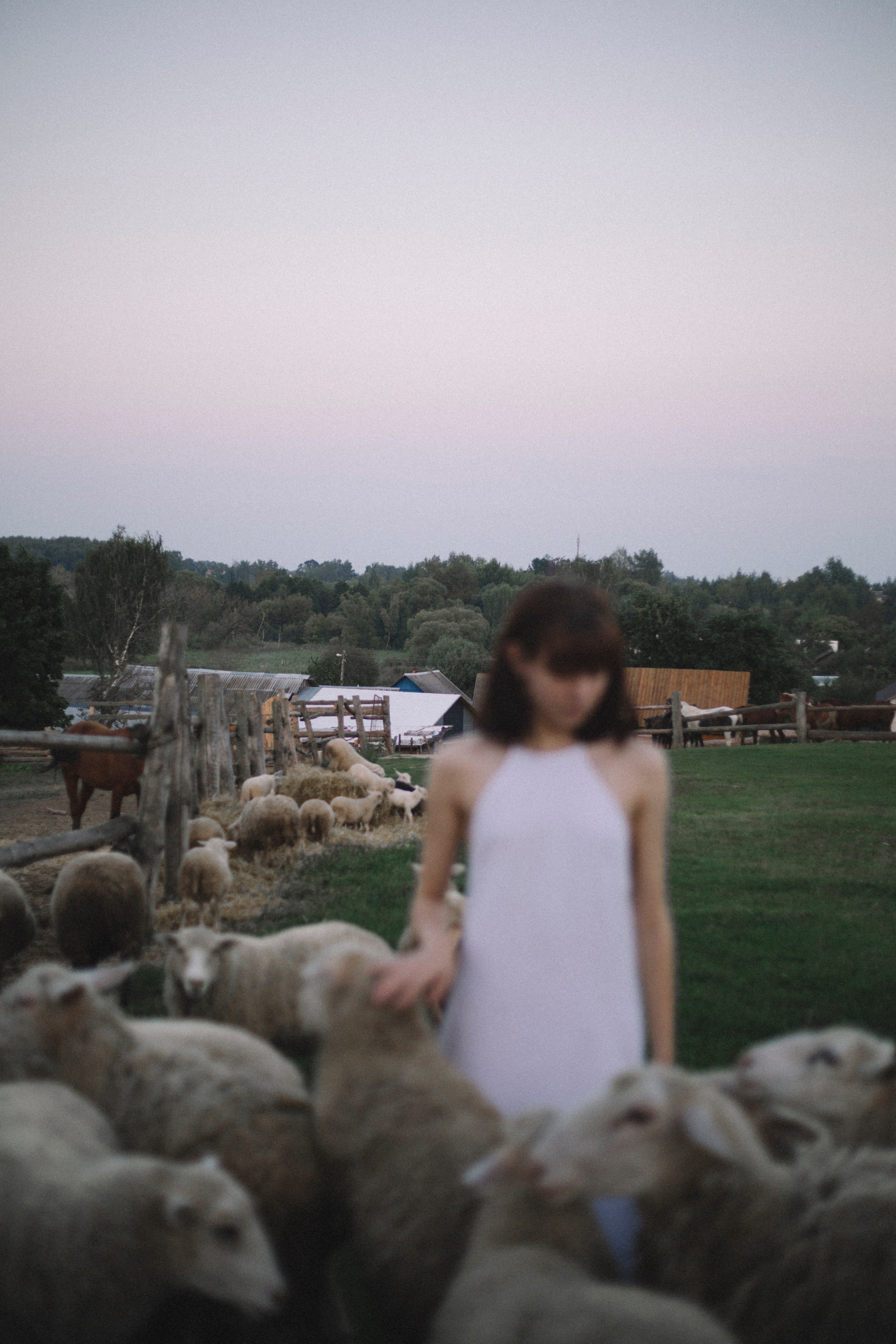 Охота на овец. Портретный фотограф в Минске