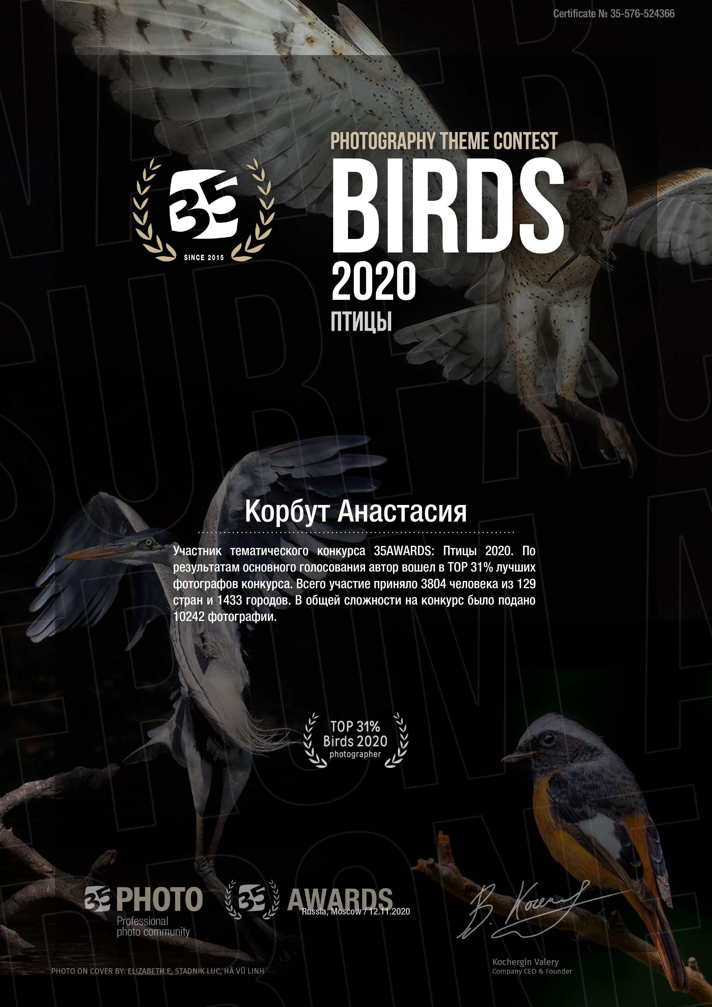 Достижения. Арт фотограф в Минске Анастасия Корбут