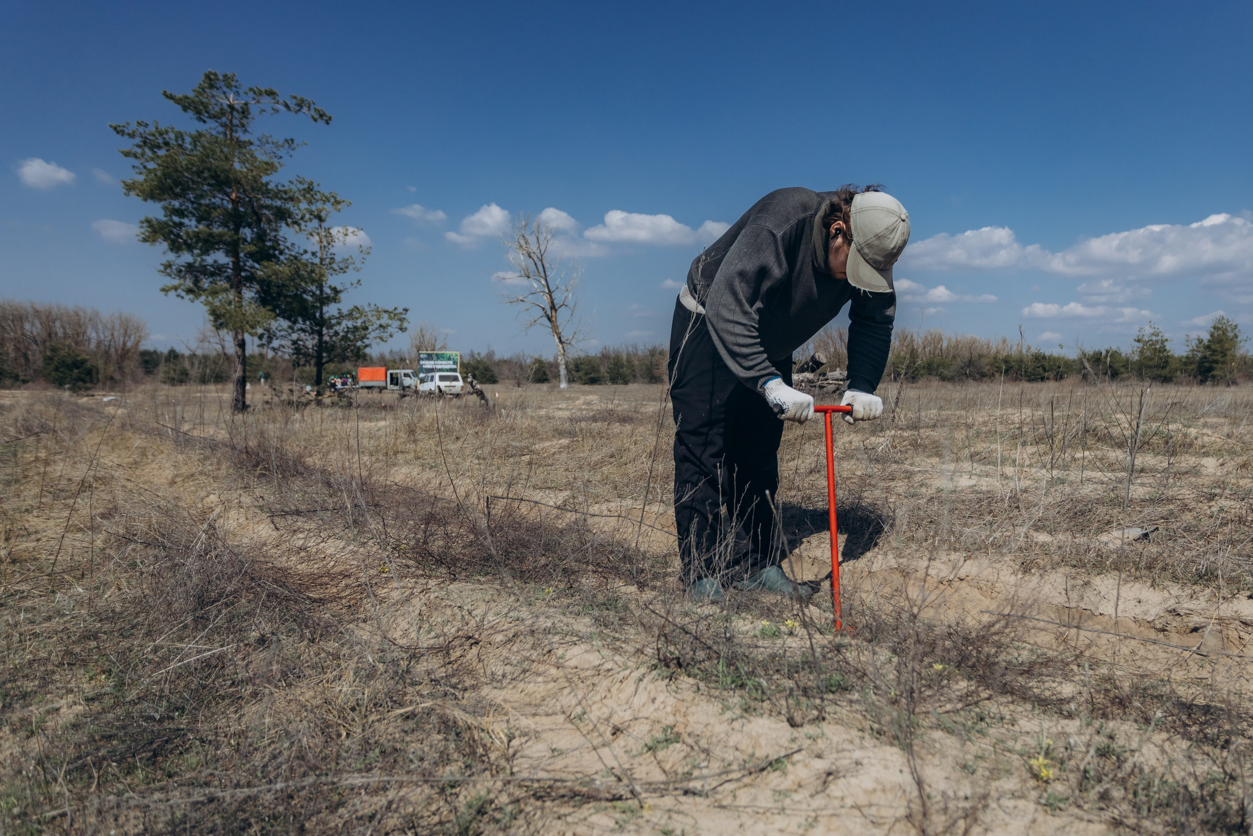 Акция «Лес будущего». Артём Панфилов — Свадебный и семейный фотограф в Ростове-на-Дону