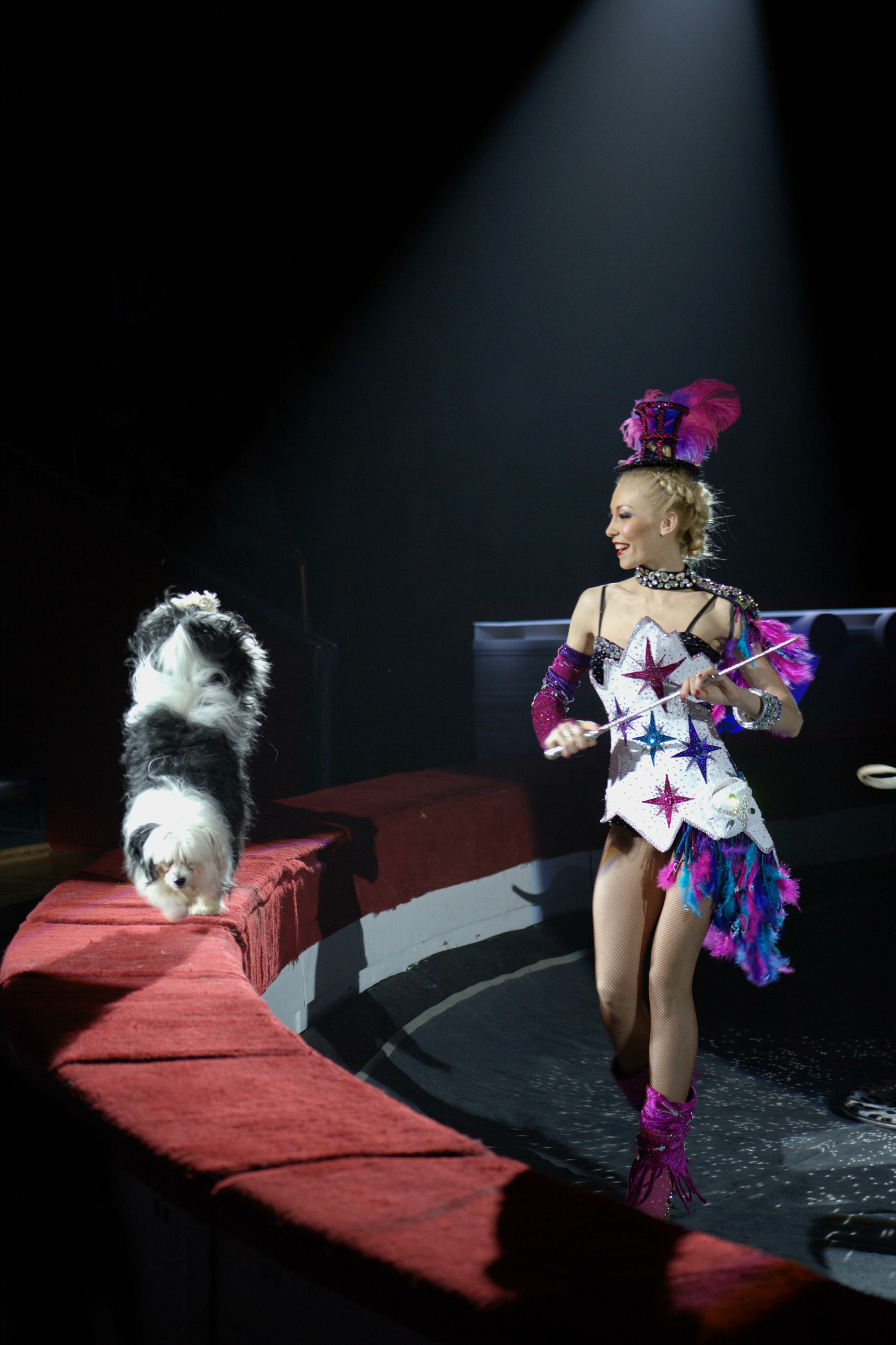 Цирк Никулина