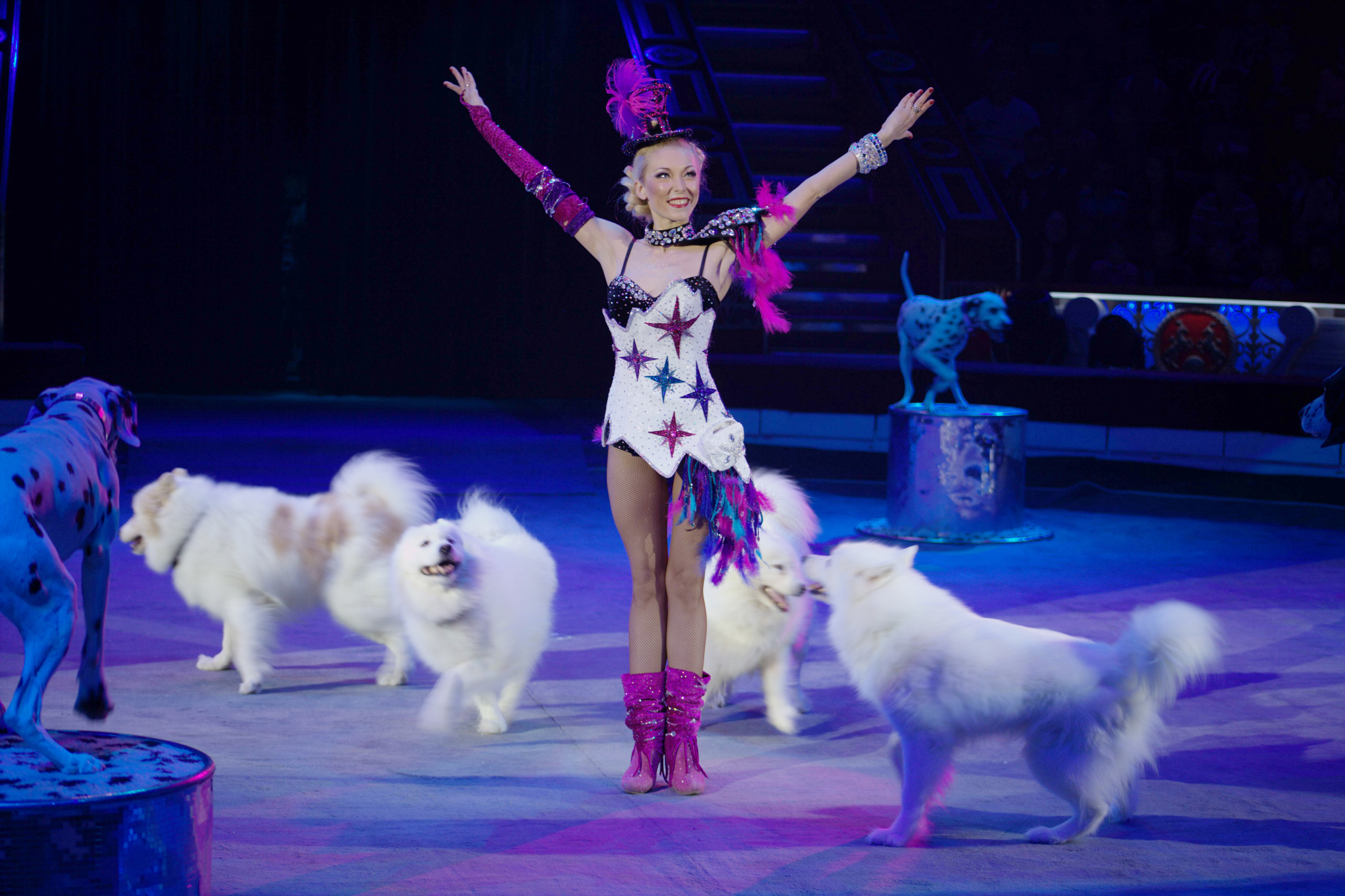 Цирк Никулина