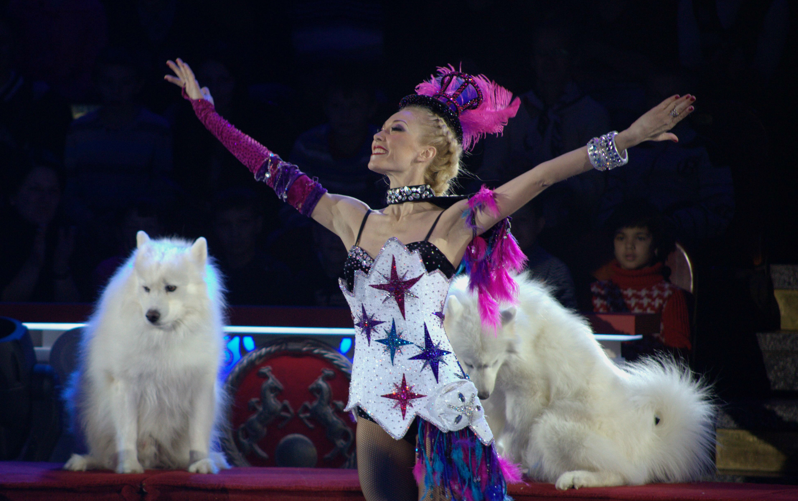 цирк Никулна