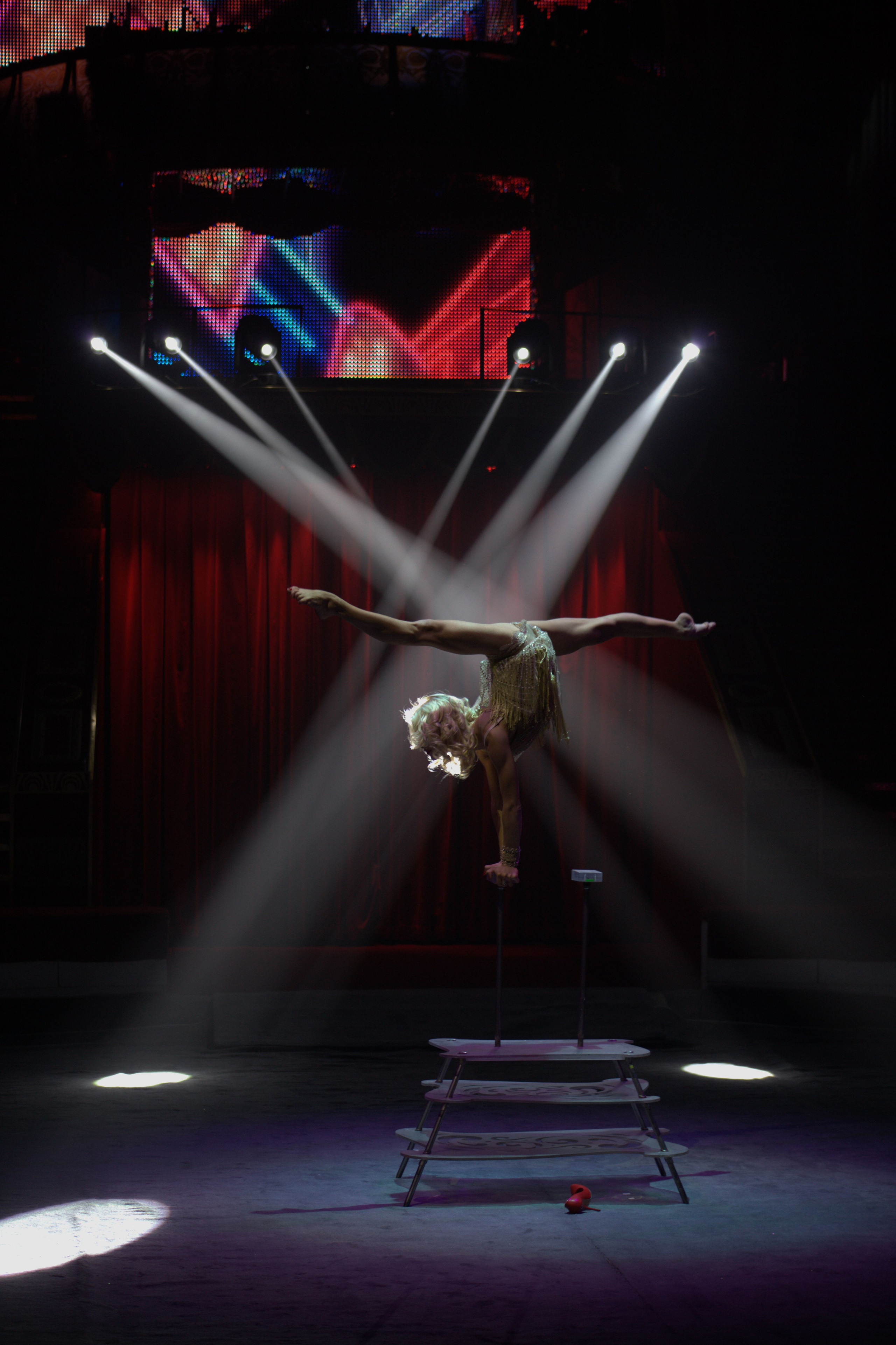 Цирк Никулина