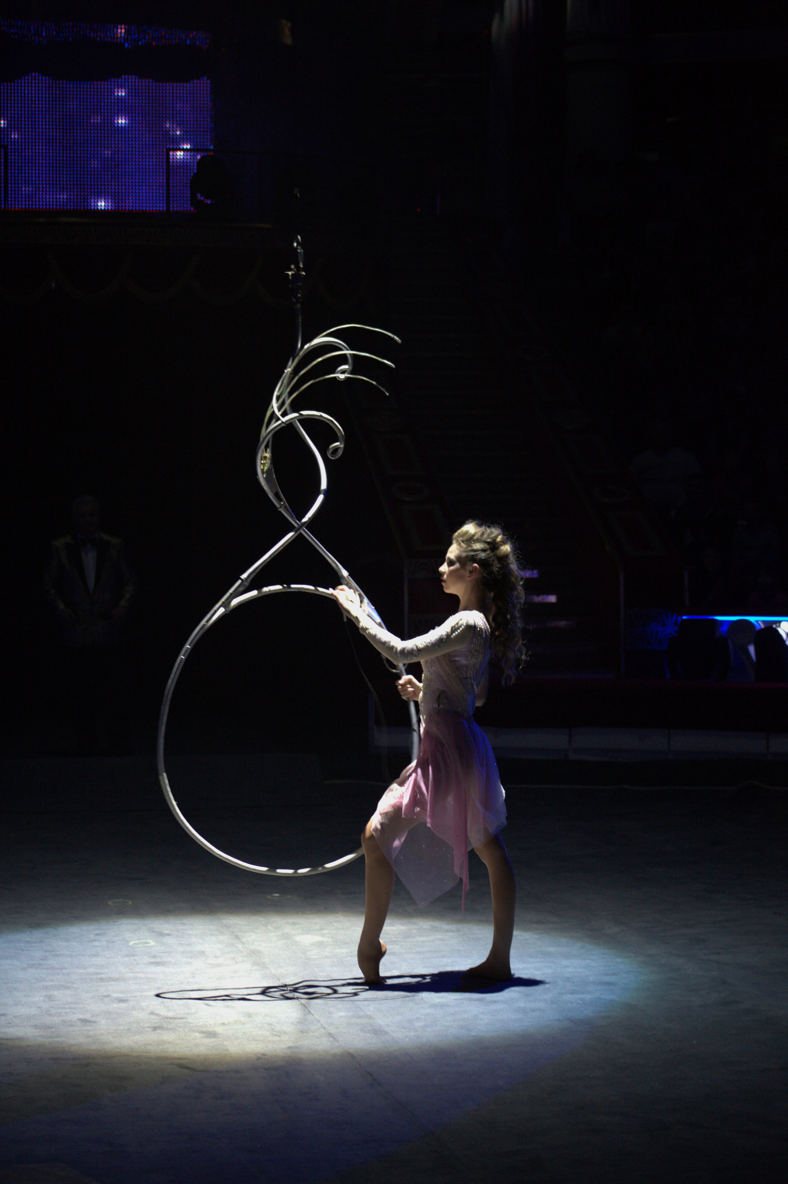 Цирк Никулина