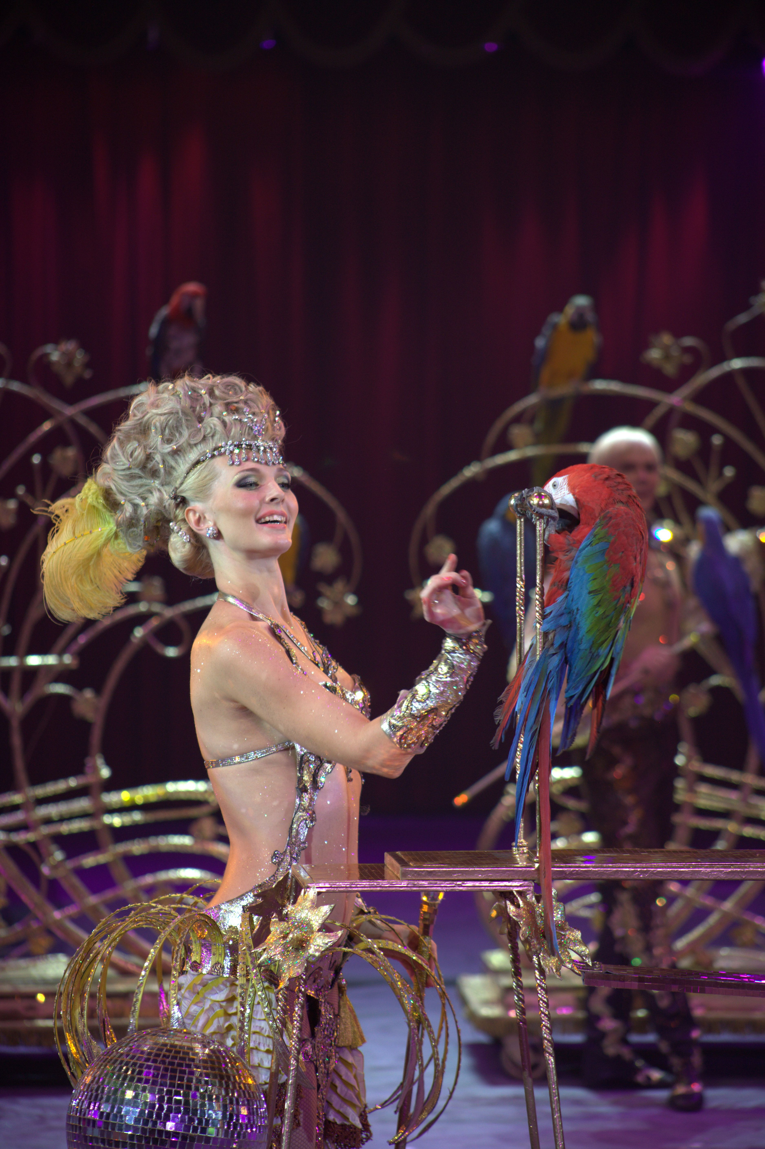 Цирк Никулина