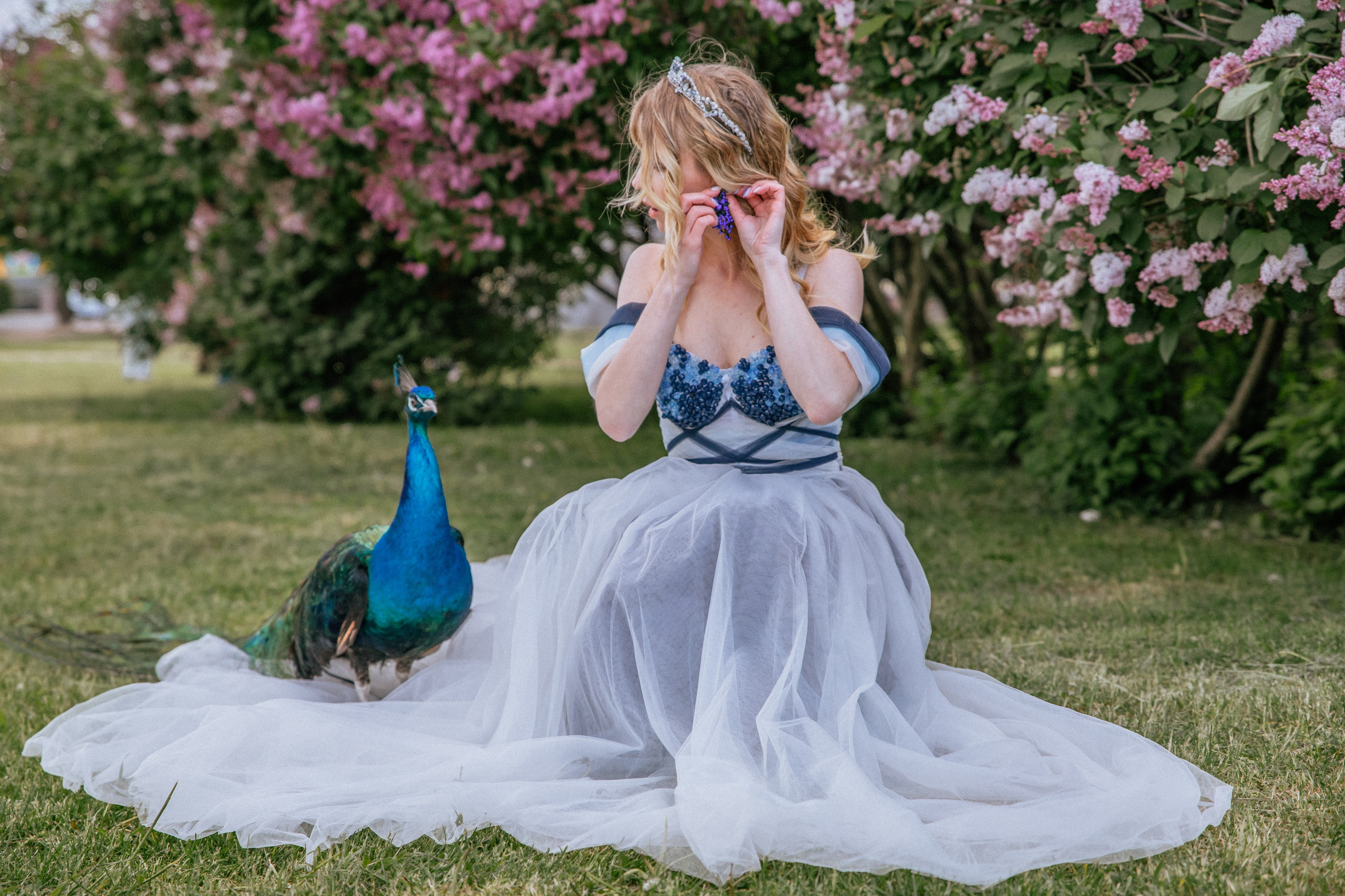 Павлин. Elena Sova — семейный и женский фотограф в Санкт-Петербурге