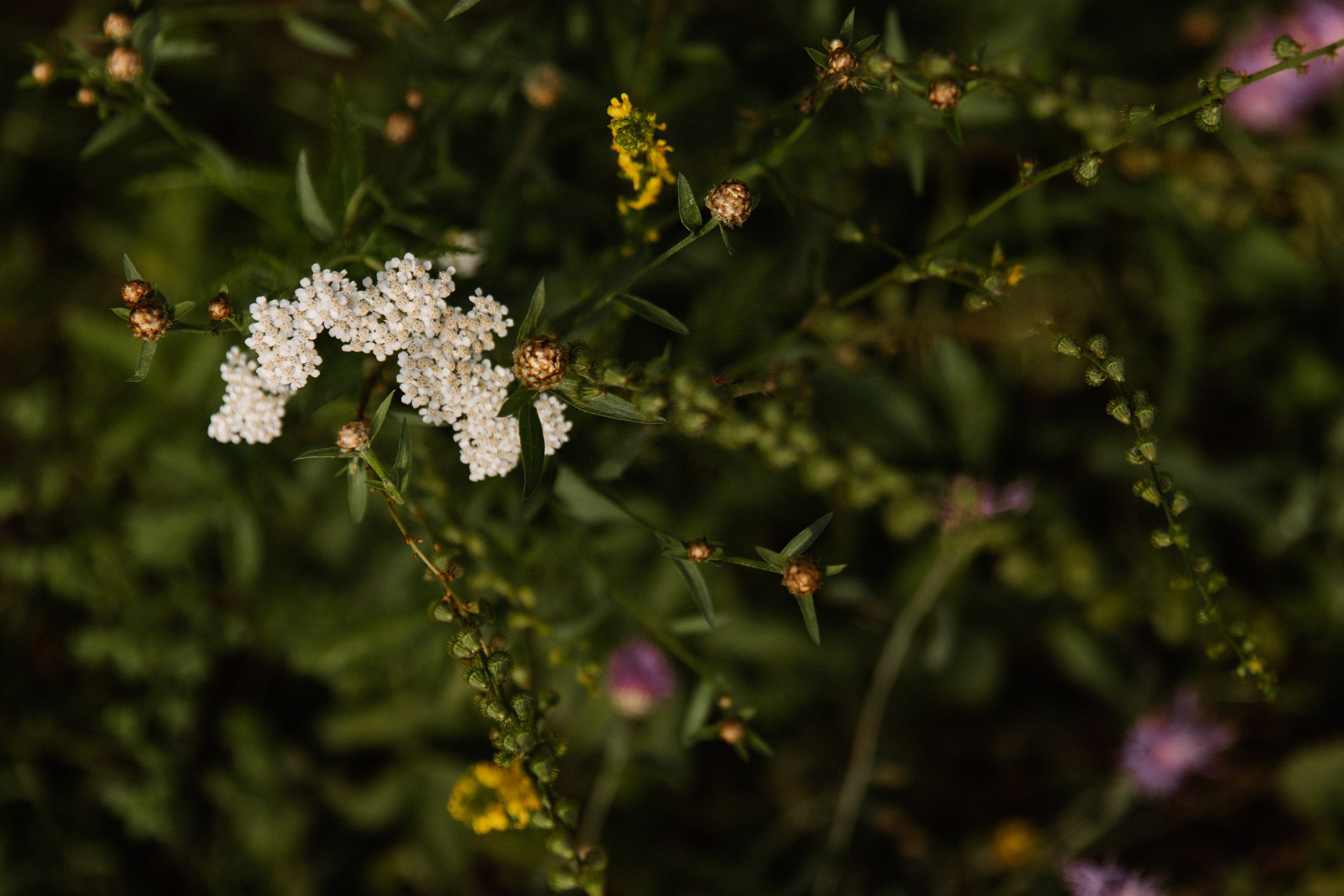Любовь находит путь. Фотограф Диана Хасанова, г. Казань