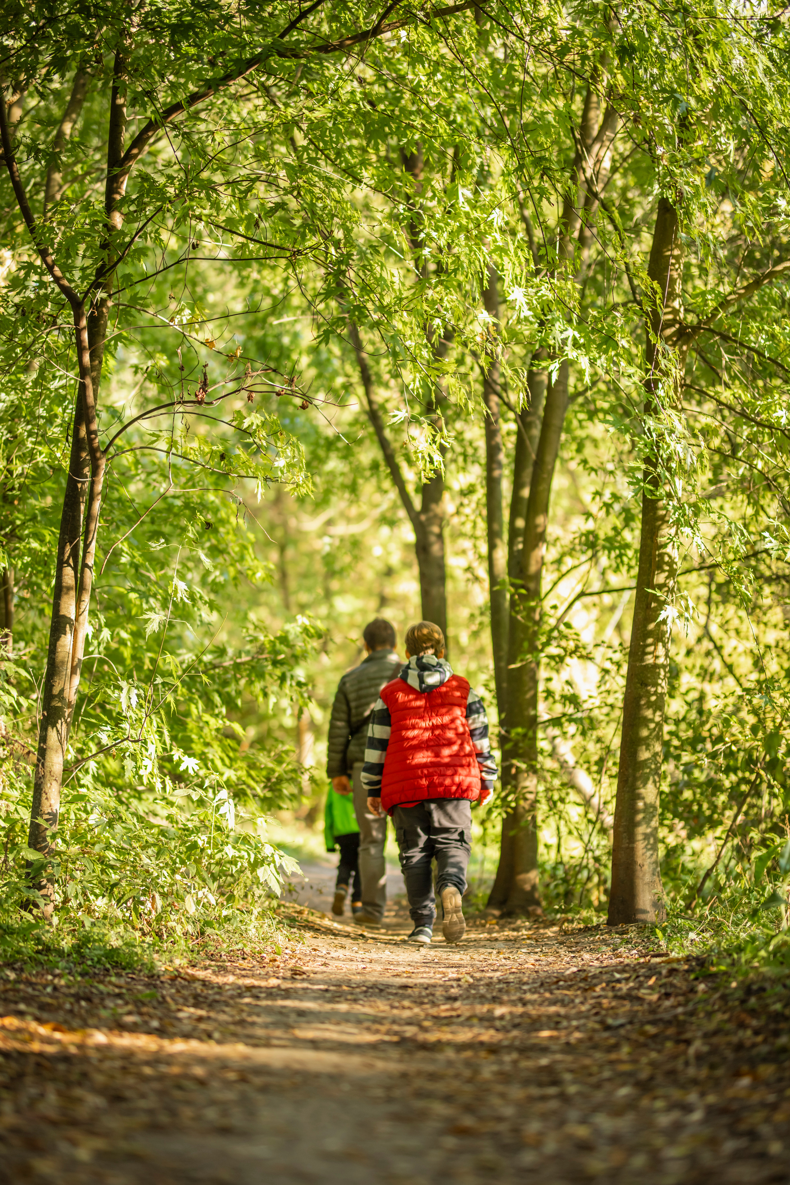 СЕМЕЙНЫЕ фотосессии. Фотограф Алина Лебедь