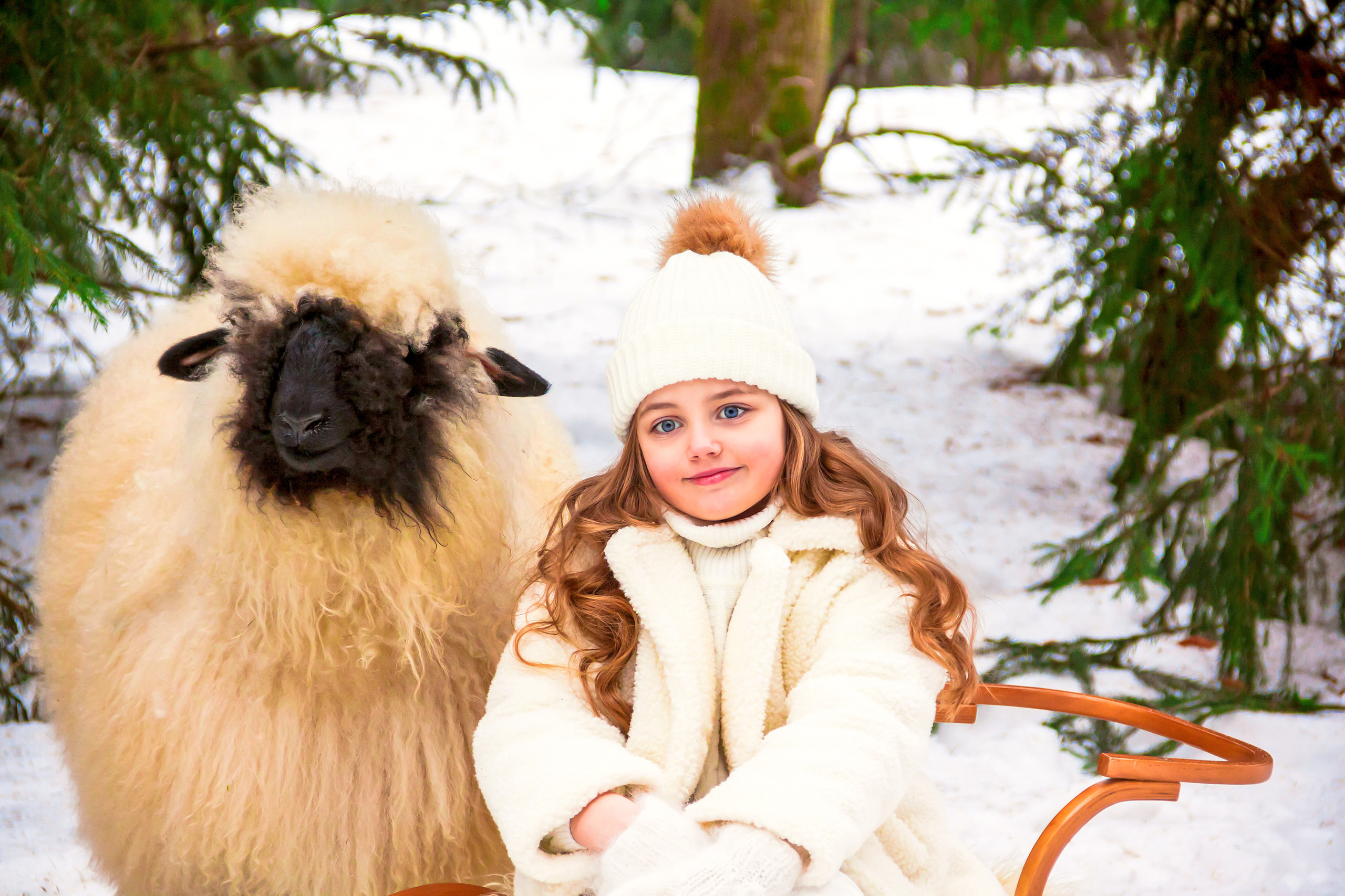 Фотосессии с ЖИВОТНЫМИ. Фотограф Алина Лебедь