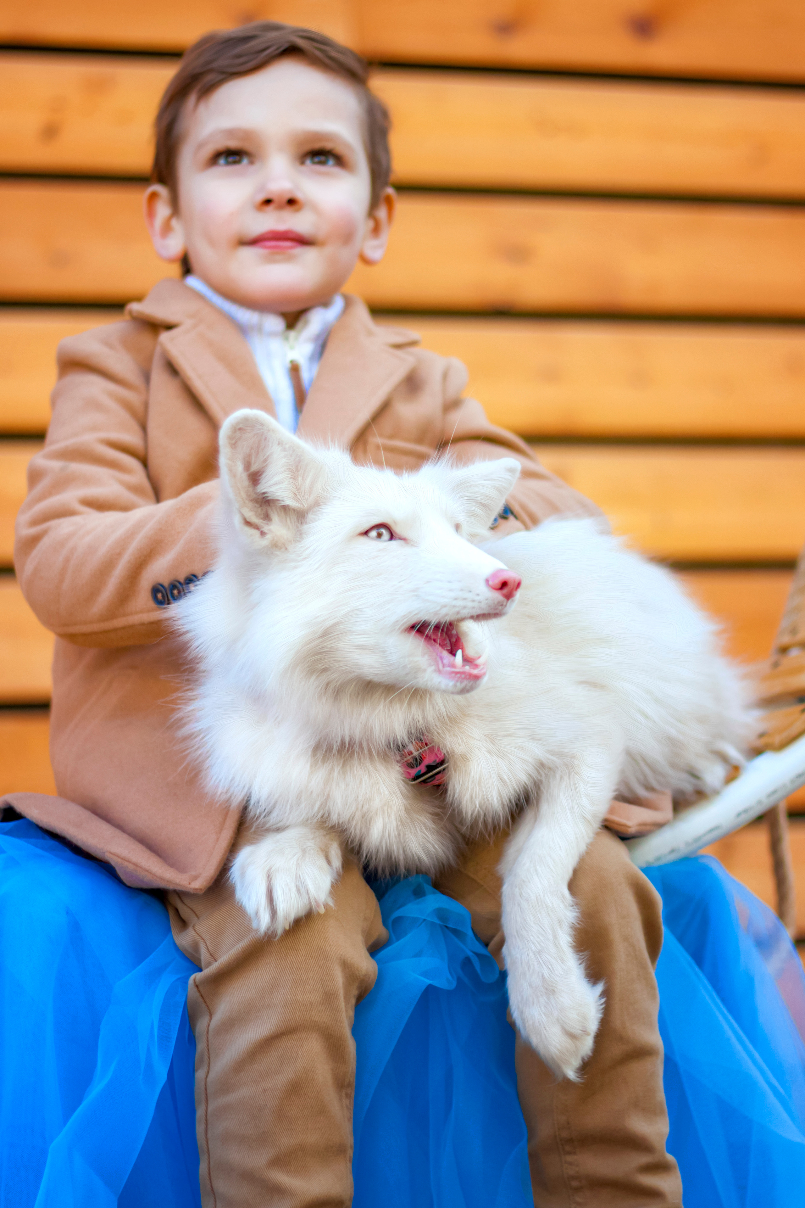 Фотосессии с ЖИВОТНЫМИ. Фотограф Алина Лебедь