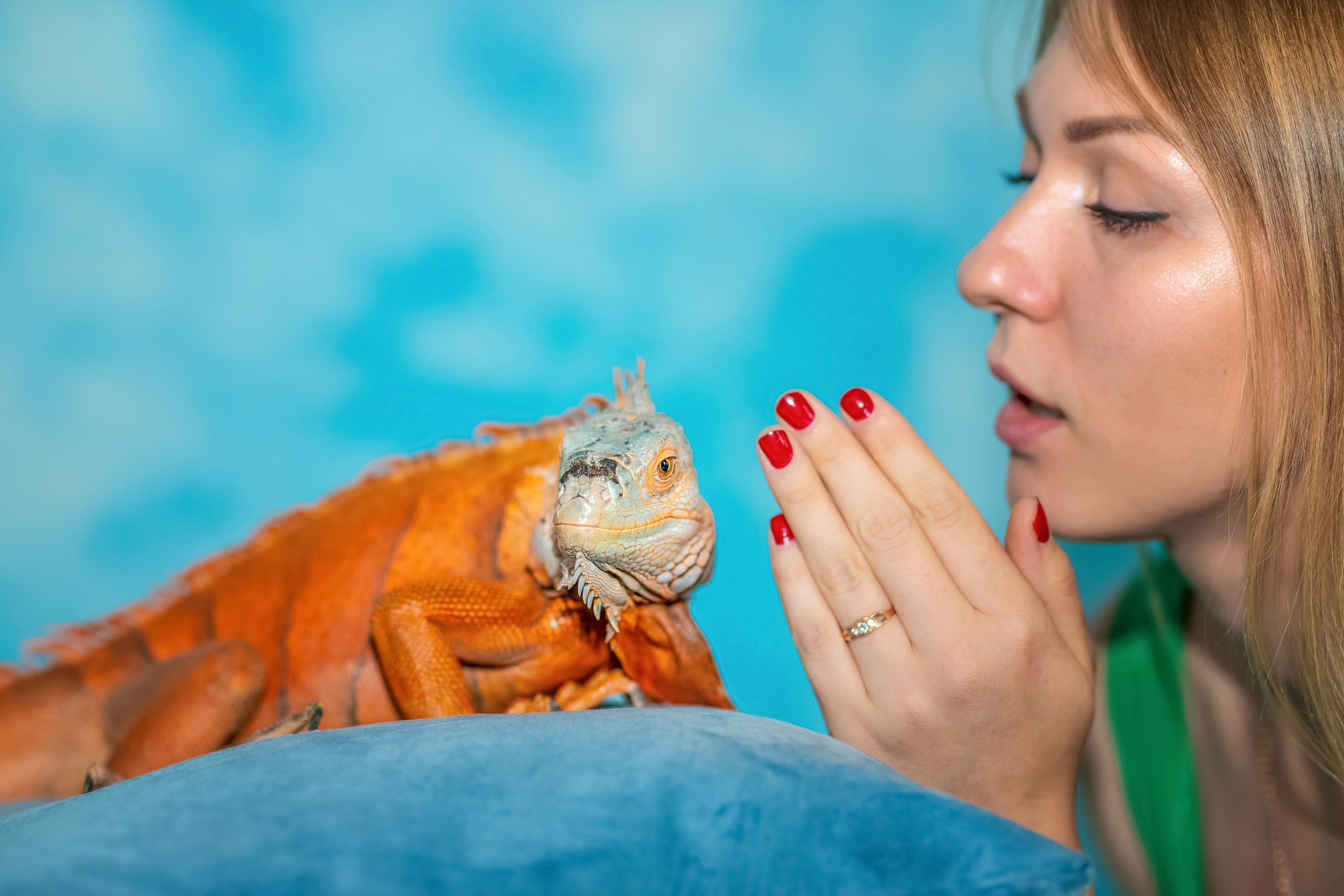 Фотосессии с ЖИВОТНЫМИ. Фотограф Алина Лебедь