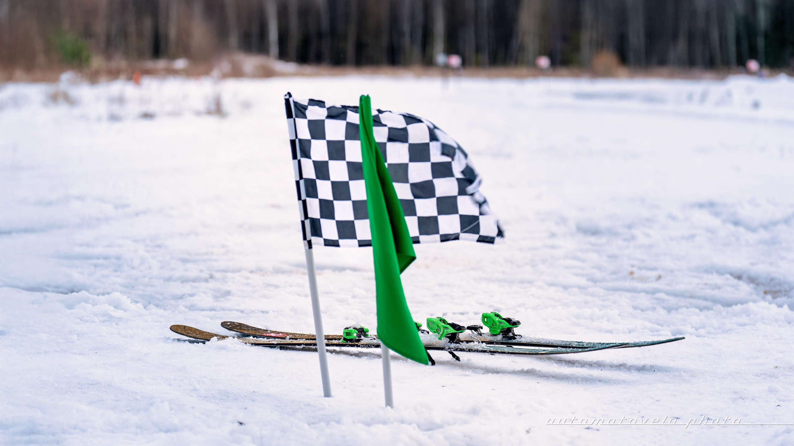 Скийоринг в Конаково 2024/25. 1 этап