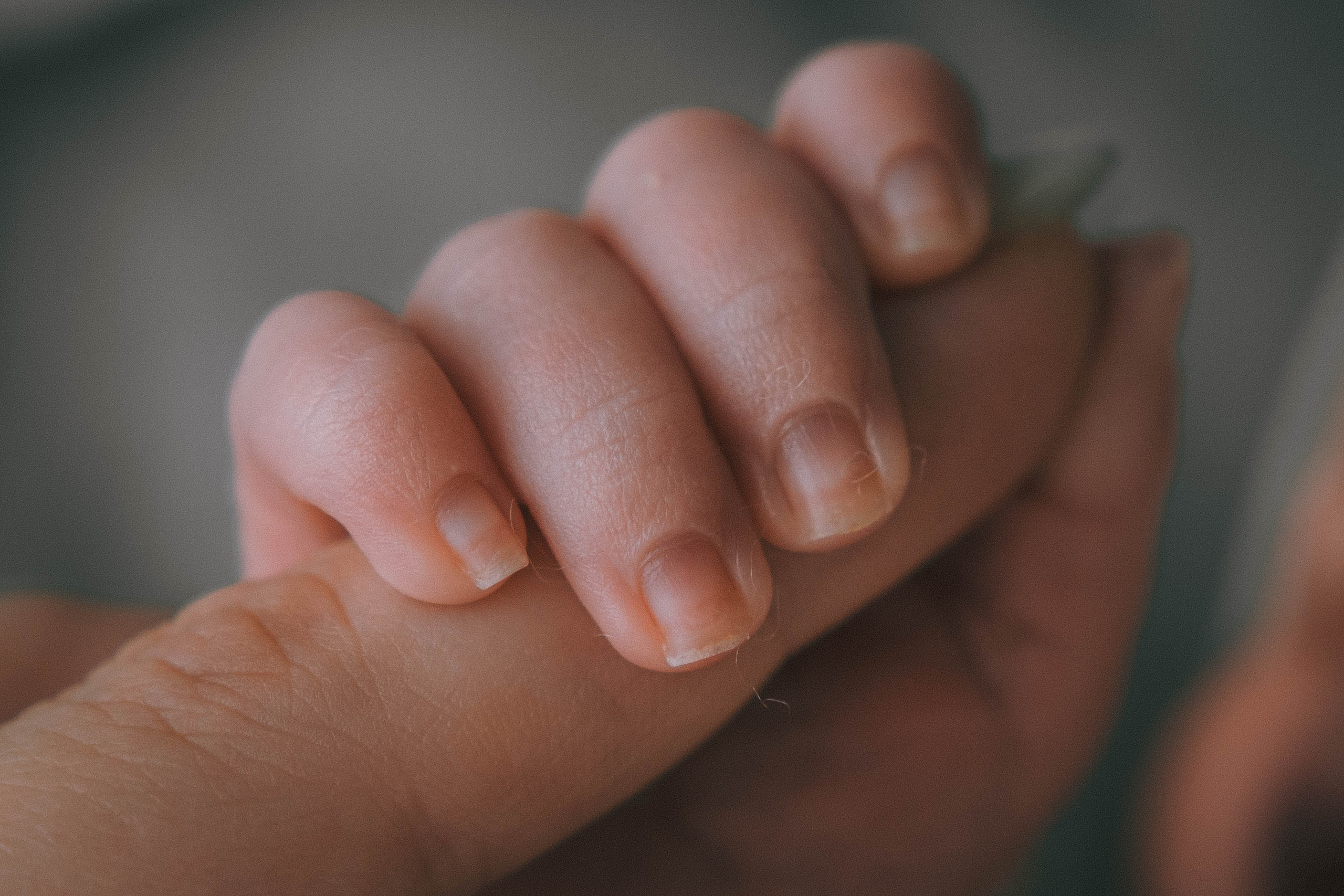 Доминик. NewBorn. Фотограф СЕМЬИ и ДЕТСТВА в Краснодаре и Краснодарском крае Екатерина Москат