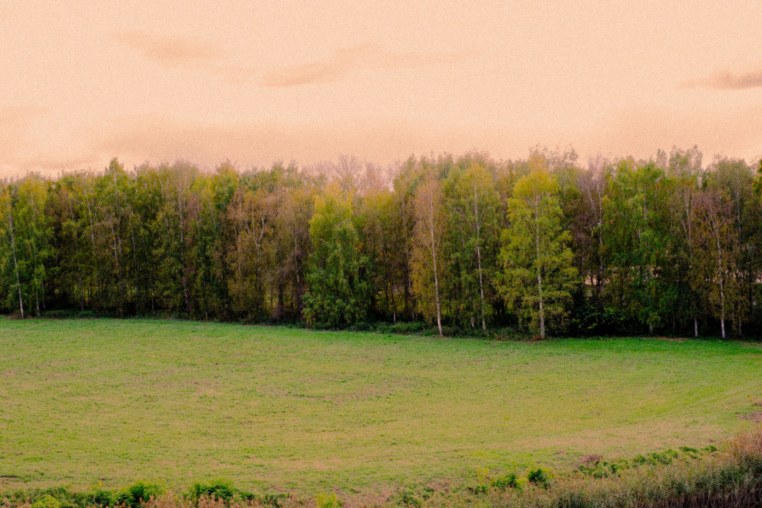 Портфолио. Суздаль Душа| Фотограф в Суздале Даша Воронкова