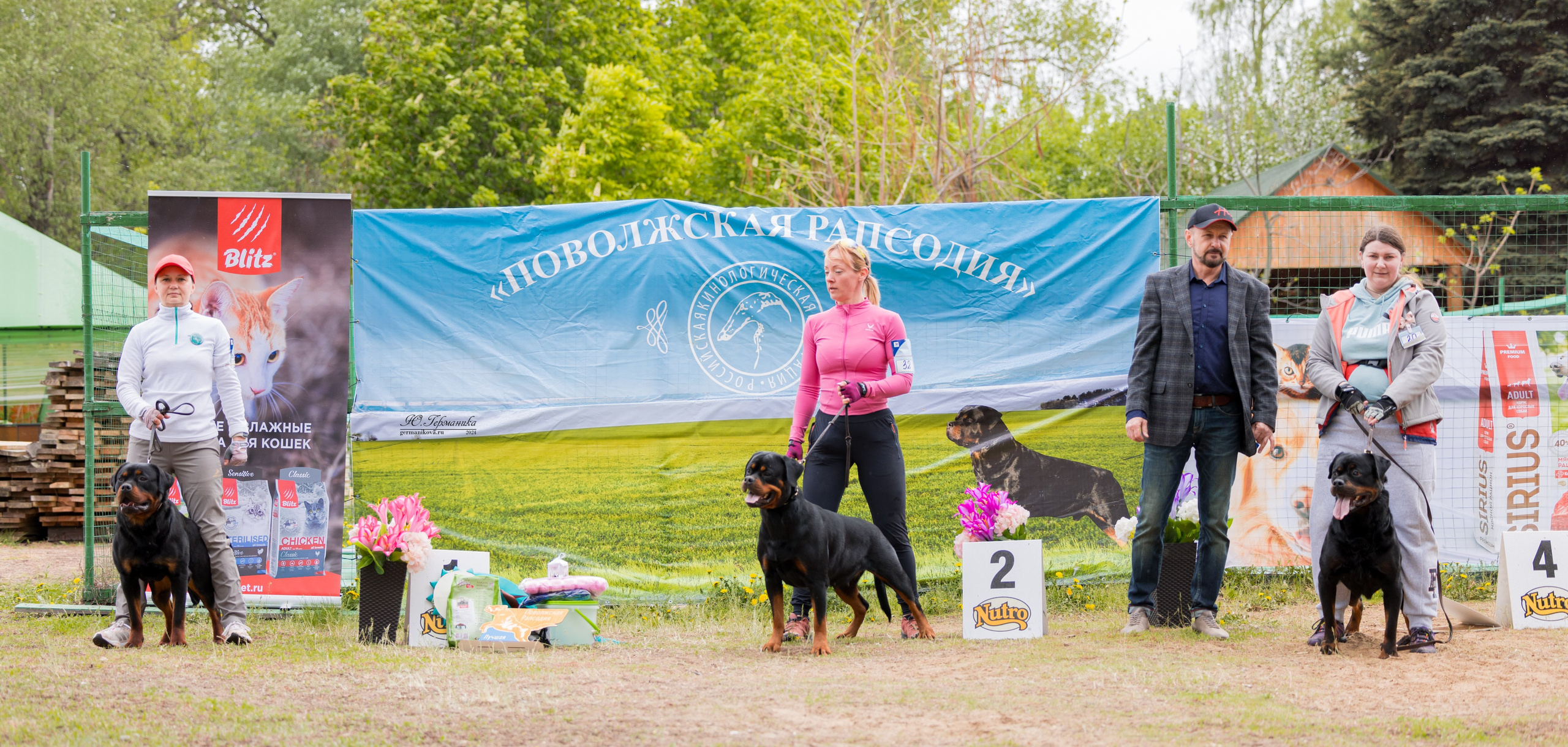 Саратов 2 х моно ротвейлеров 28-29.04.2024. Фотограф-анималист Юлия Германика