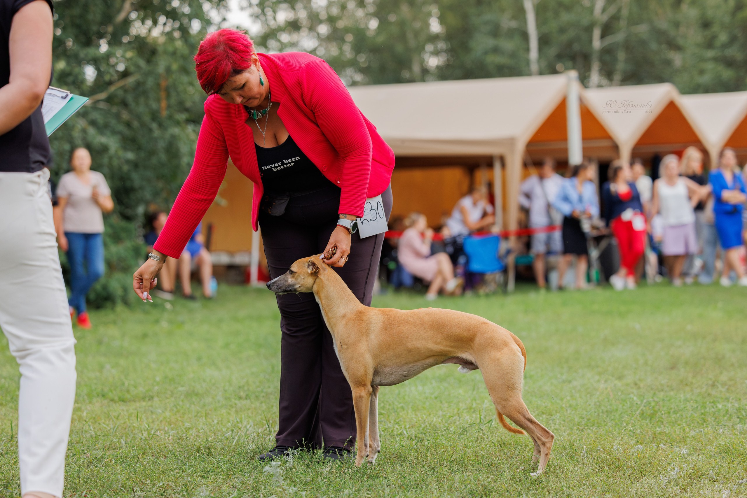 Астана 2хCACIB 17-18.08.2024. Фотограф-анималист Юлия Германика