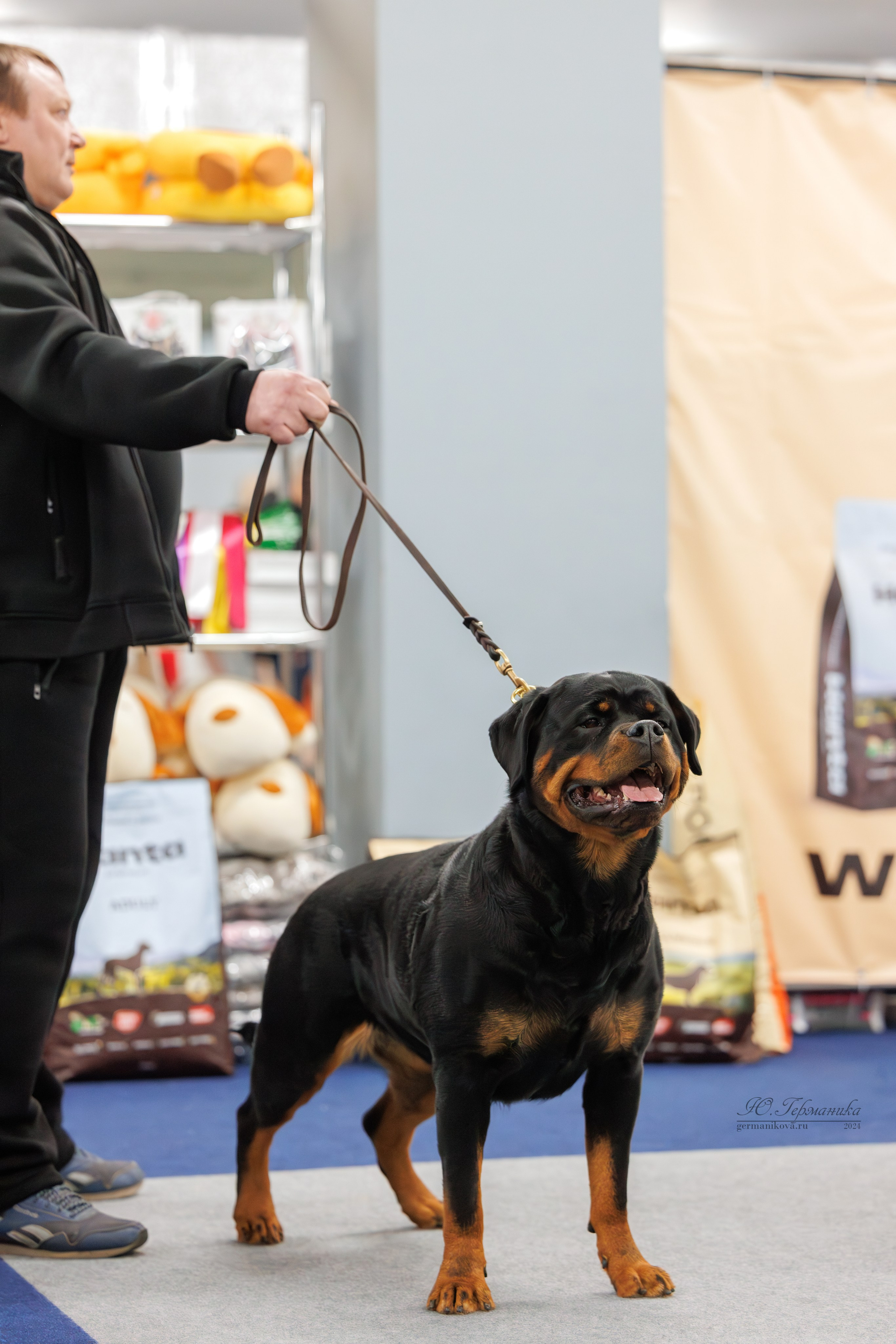 Сфера и Крокус 8,9,16 и 30.03.2025. Фотограф-анималист Юлия Германика