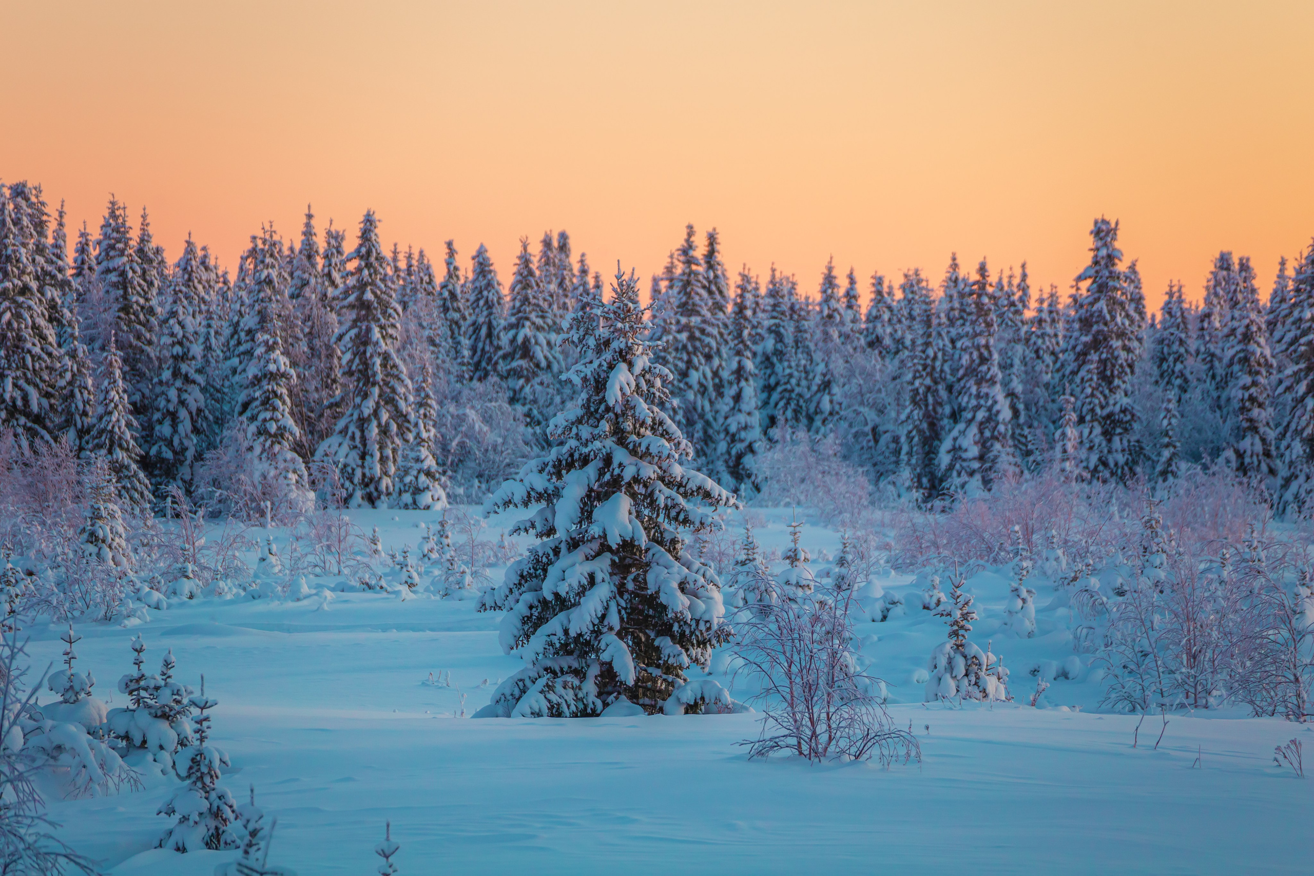 Ненецкий автономный округ. Тревел-фотограф Елизавета Ларионова