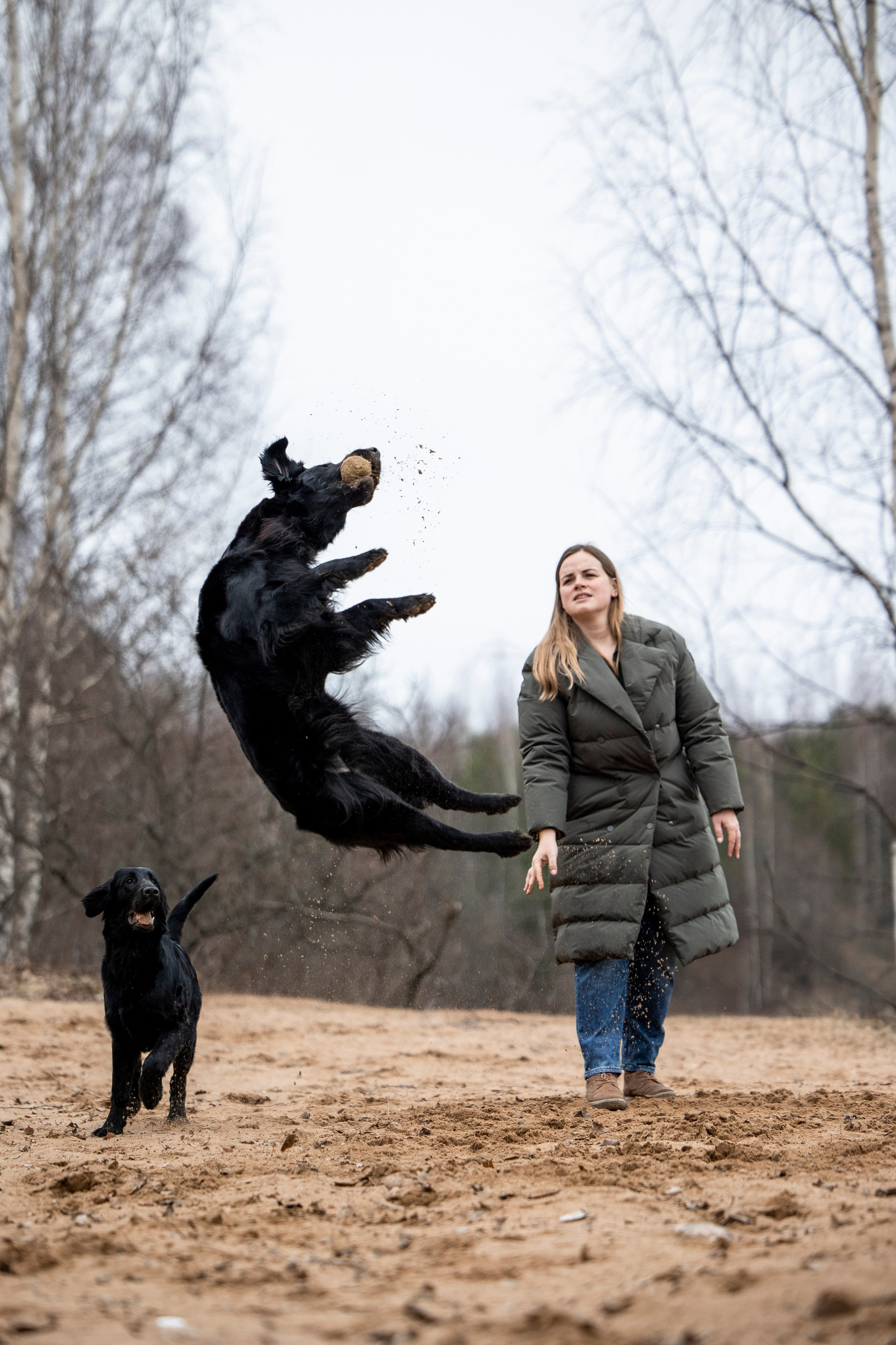 Ора, Ева, Рози и их семья. Фотограф — Анималист | Санкт-Петербург
