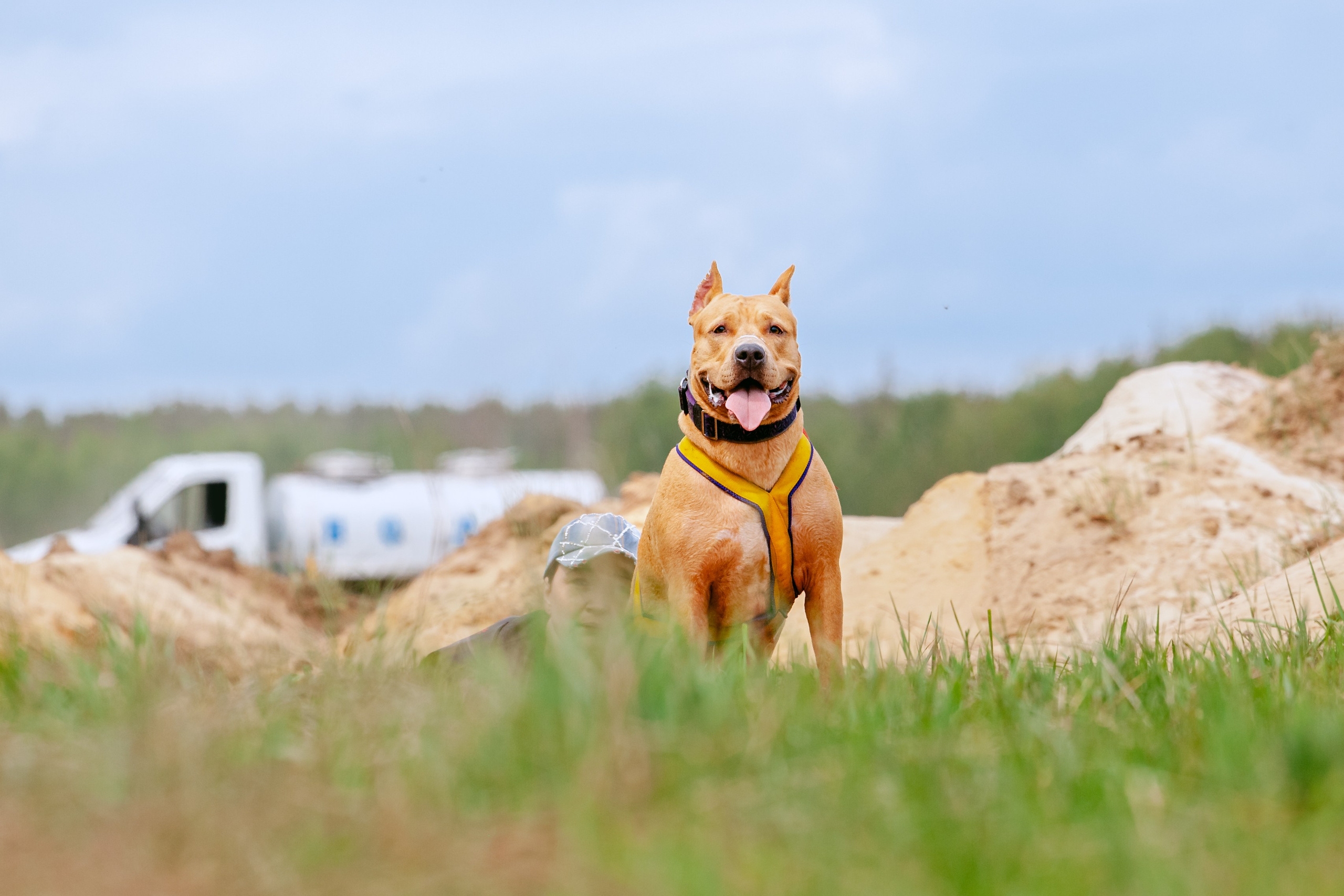 Русский экстрим кросс в Рязанской области 17.05.2025. Фотограф-анималист Татьяна Степанова