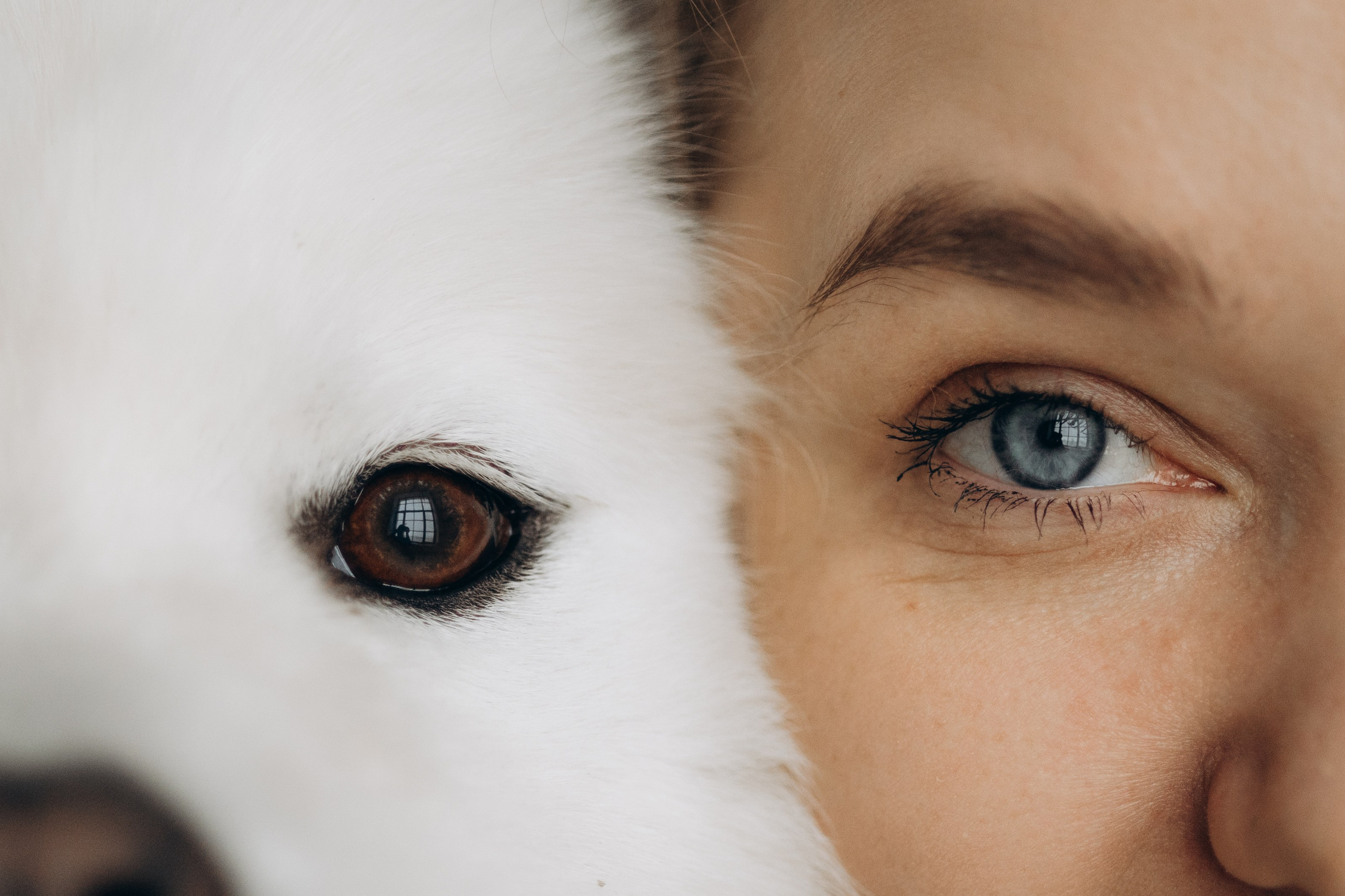 Настя и Кристофер. Фотограф — Анималист | Санкт-Петербург