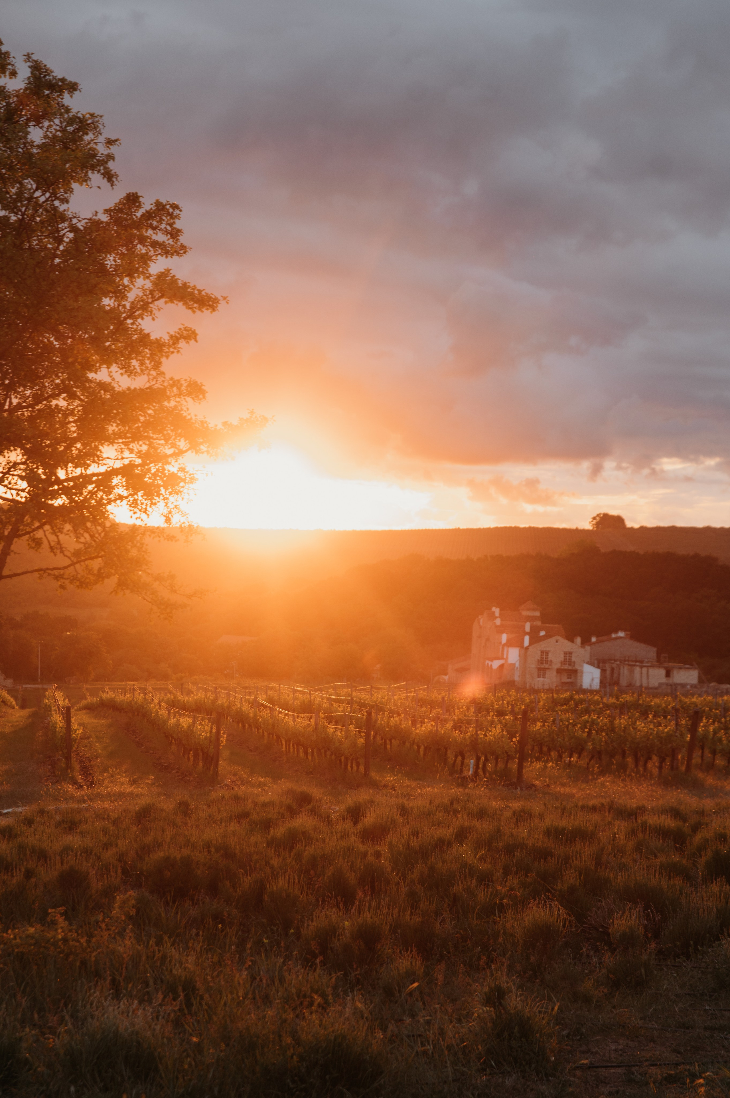 Свадебный фотограф в Твери, Москве и Санкт-Петербурге Денисова Екатерина