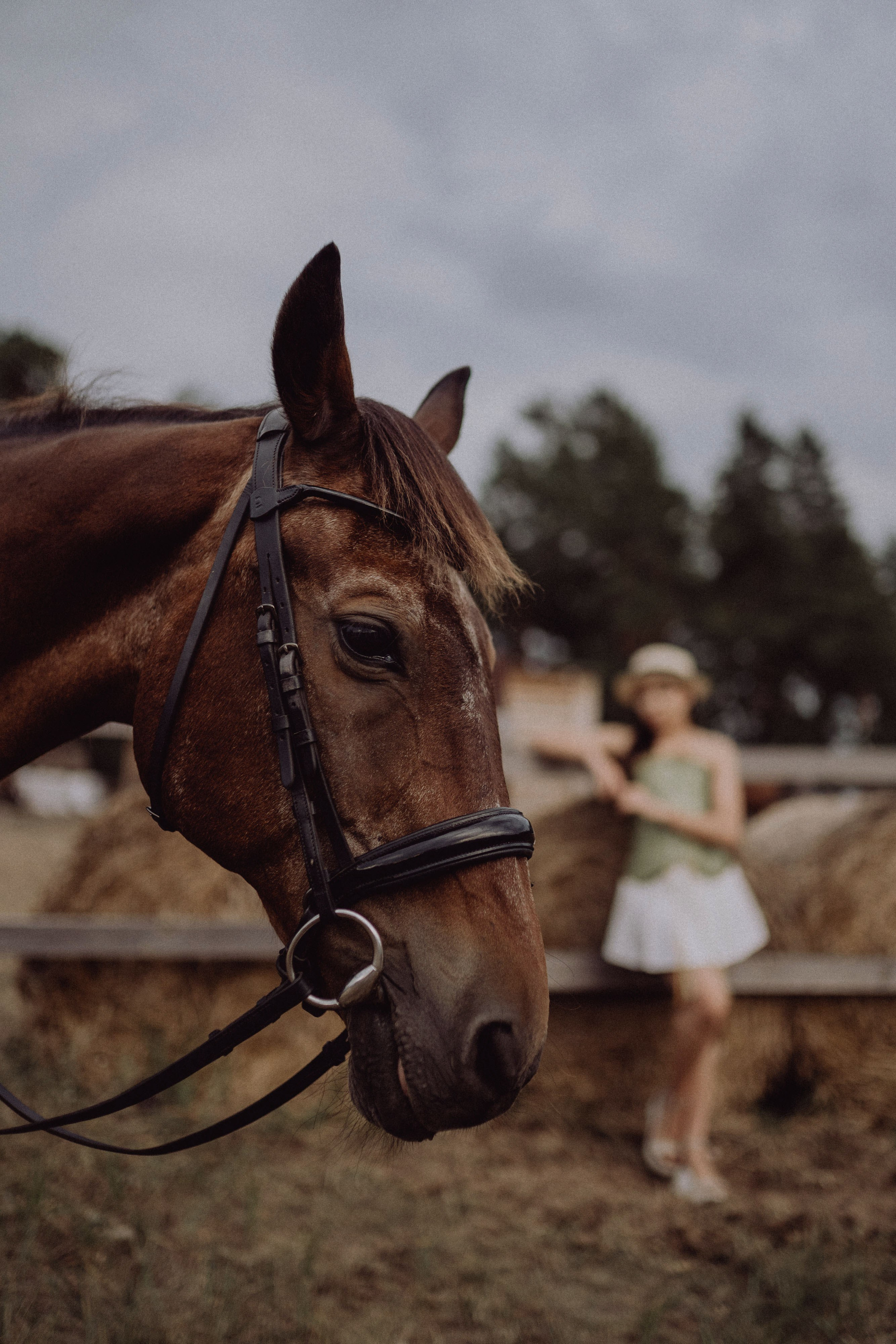 Конная прогулка. Фотограф Алексей Кутырёв