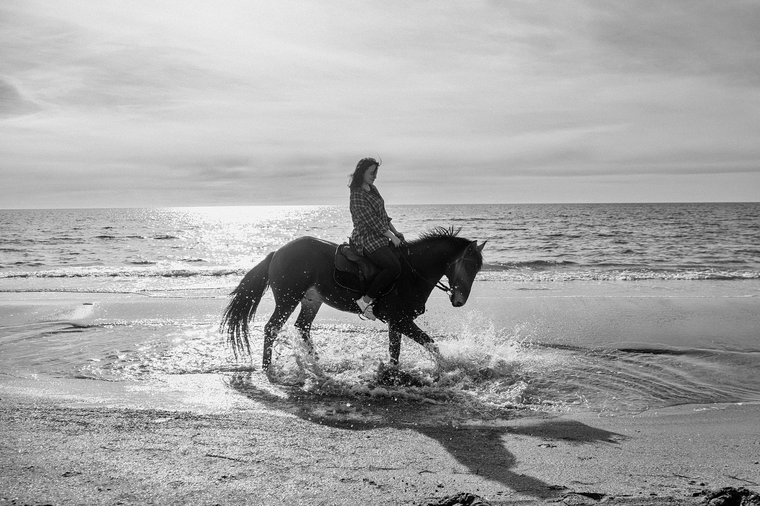 Купание коня в море 