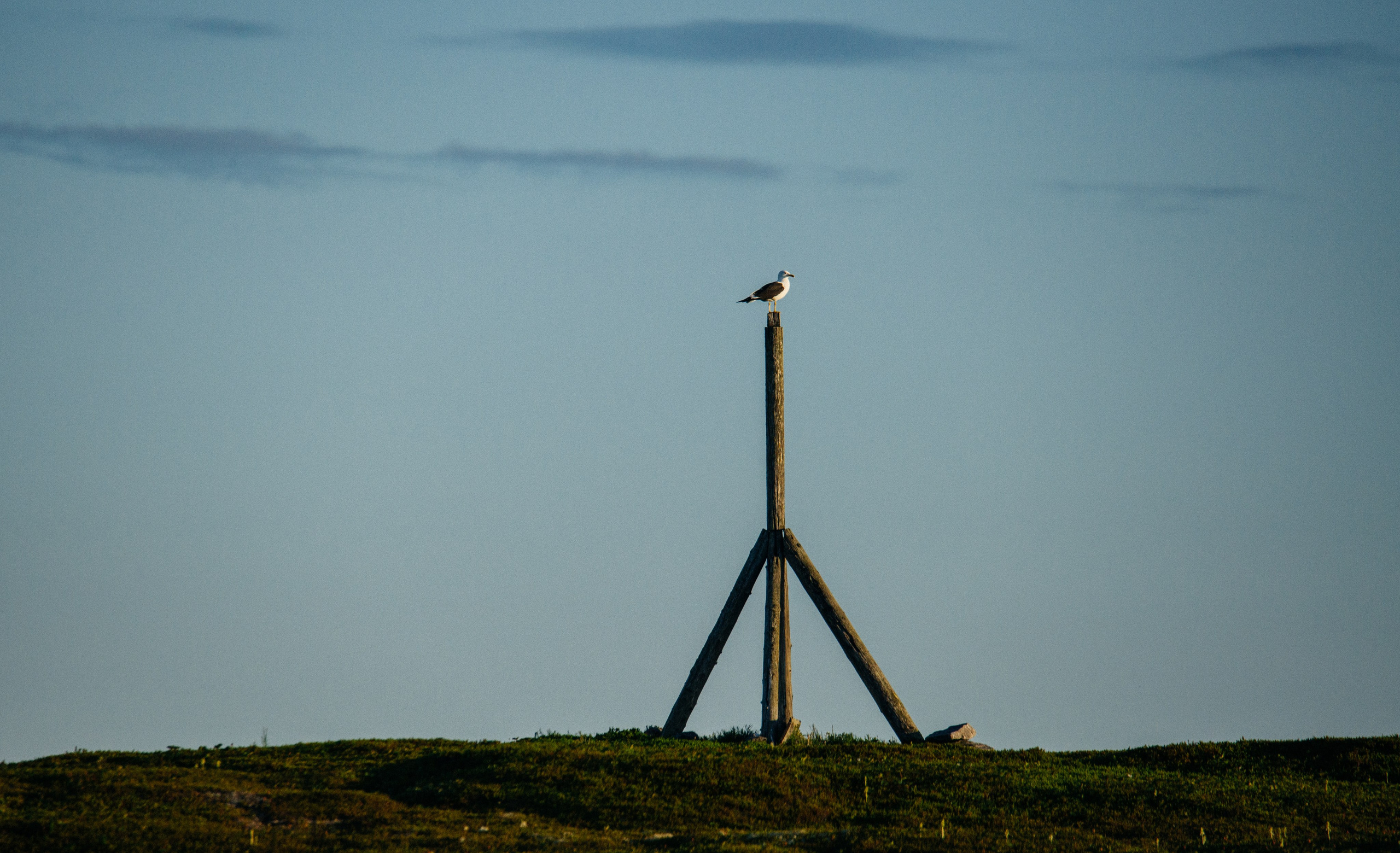 ЭТНОПАРК ГЕОГРАФИКА. Создание контента | Фото | Видеосъемка | Александр Ярков