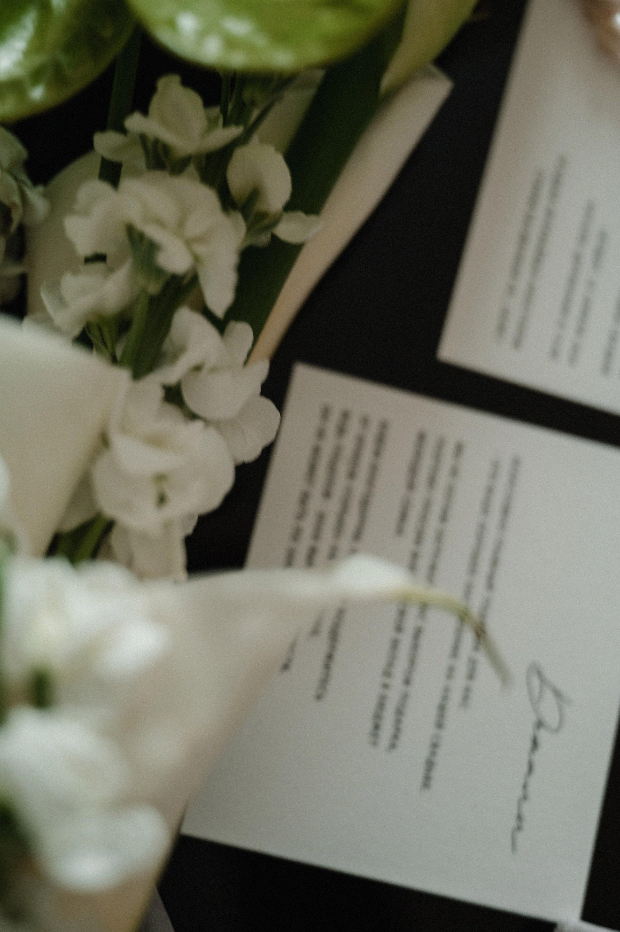 Антон и Влада.Свадьба для двоих. Свадебный фотограф Раменское-Москва