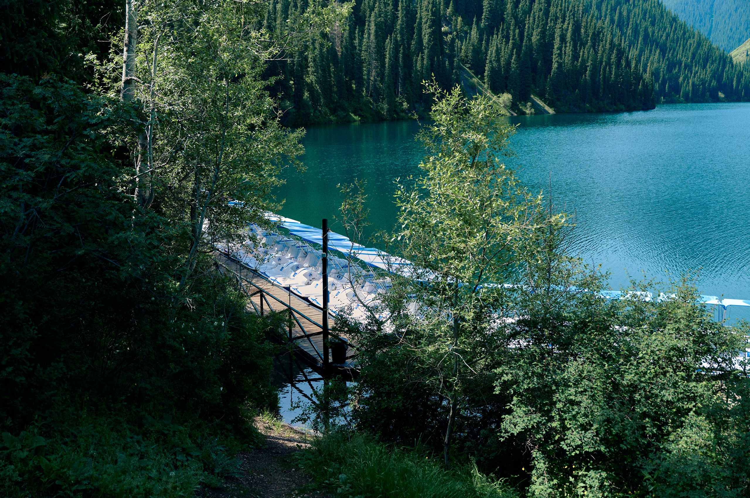 2025 — путешествия на цифру. Фотограф в Алматы — Алексей Коньков | Репортаж, свадьбы, портреты