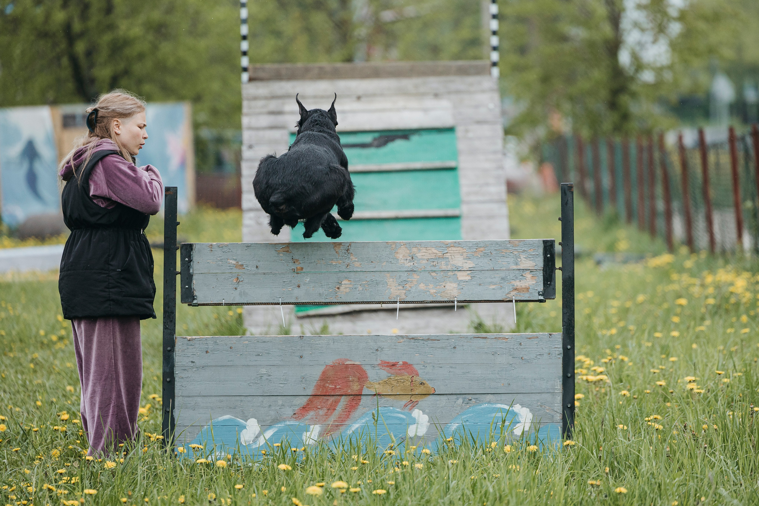 26.05.25 г. Пушкин квалификационные соревнования. Фотограф-анималист Анна Маринич