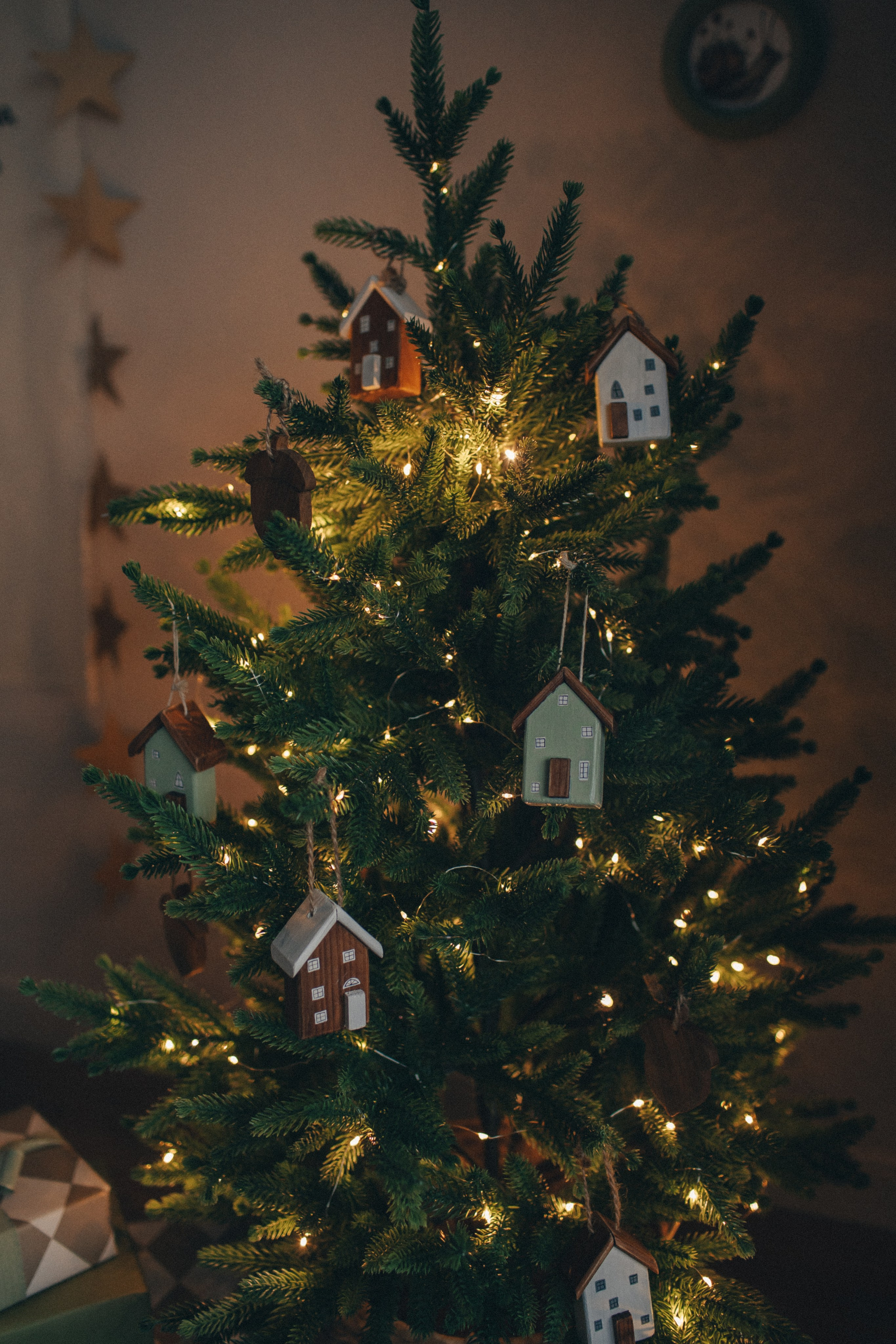 Интерьер фотостудии. Фотограф Евгения Мальцева, Архангельск