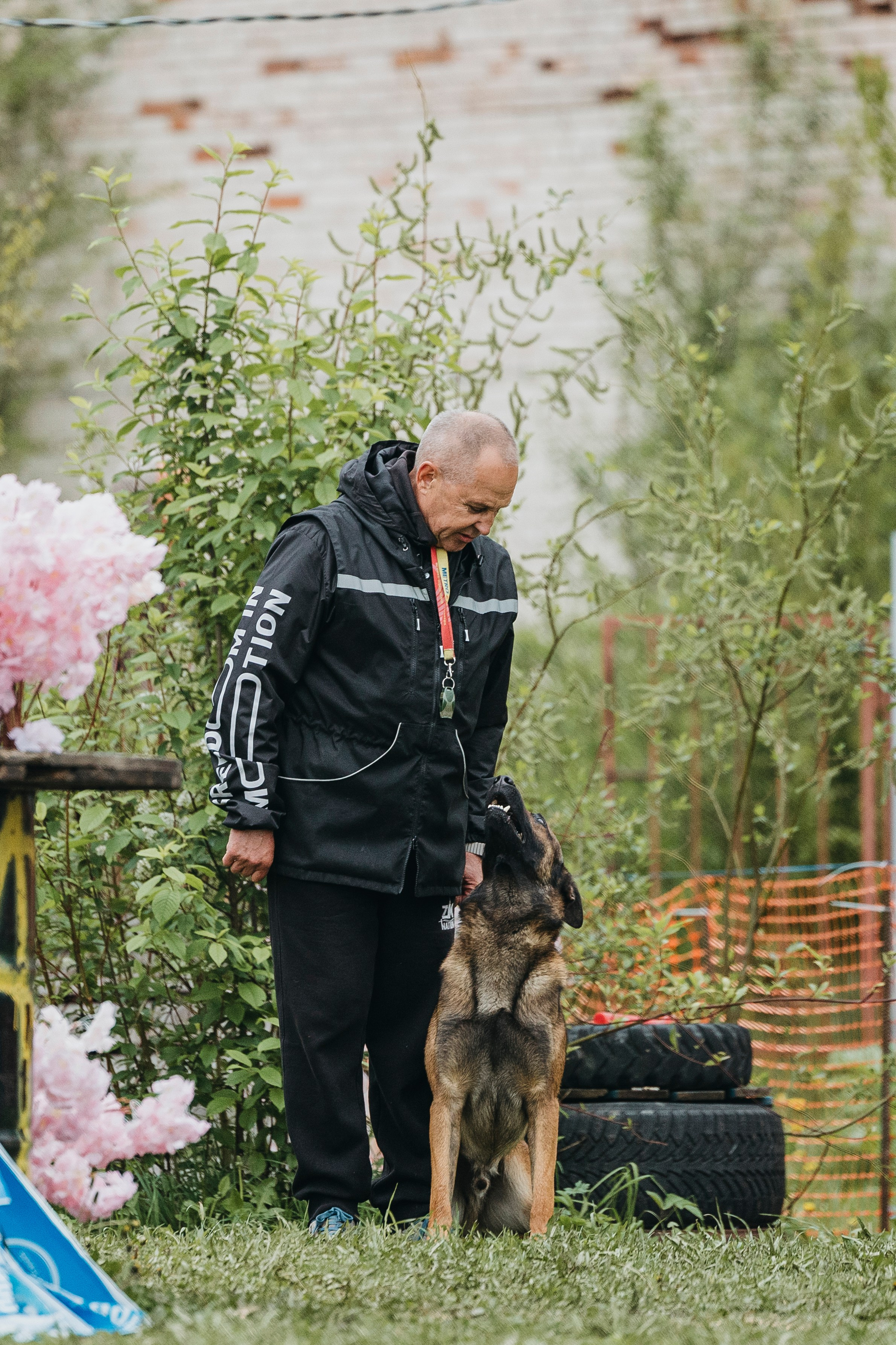 26.05.25 г. Пушкин квалификационные соревнования. Фотограф-анималист Анна Маринич