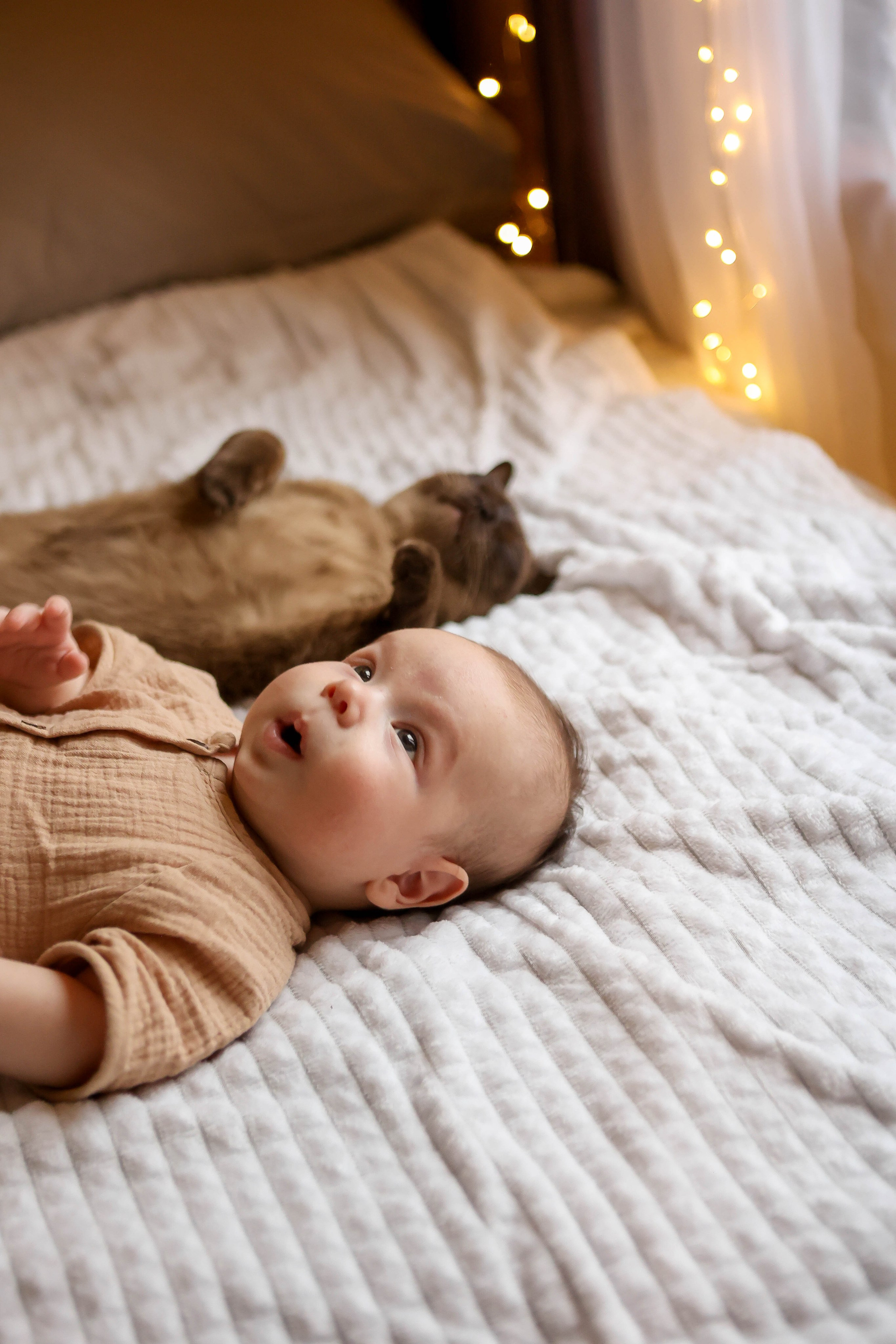 Тимоша. Наталья Косьянова. Ваш фотограф. Москва