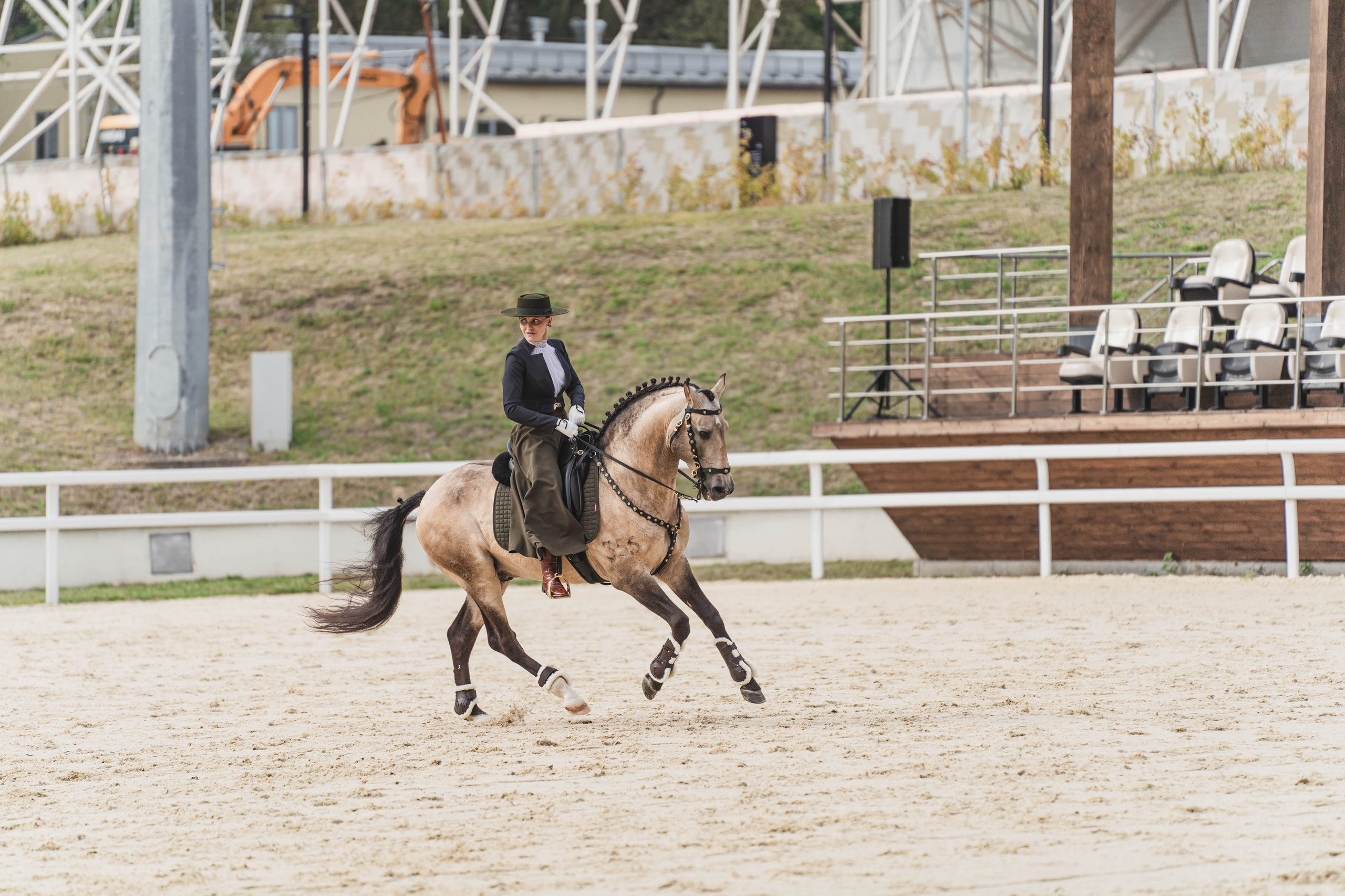Мастер-класс по рабочей выездке. Фотограф в Москве Ленарская Дарья