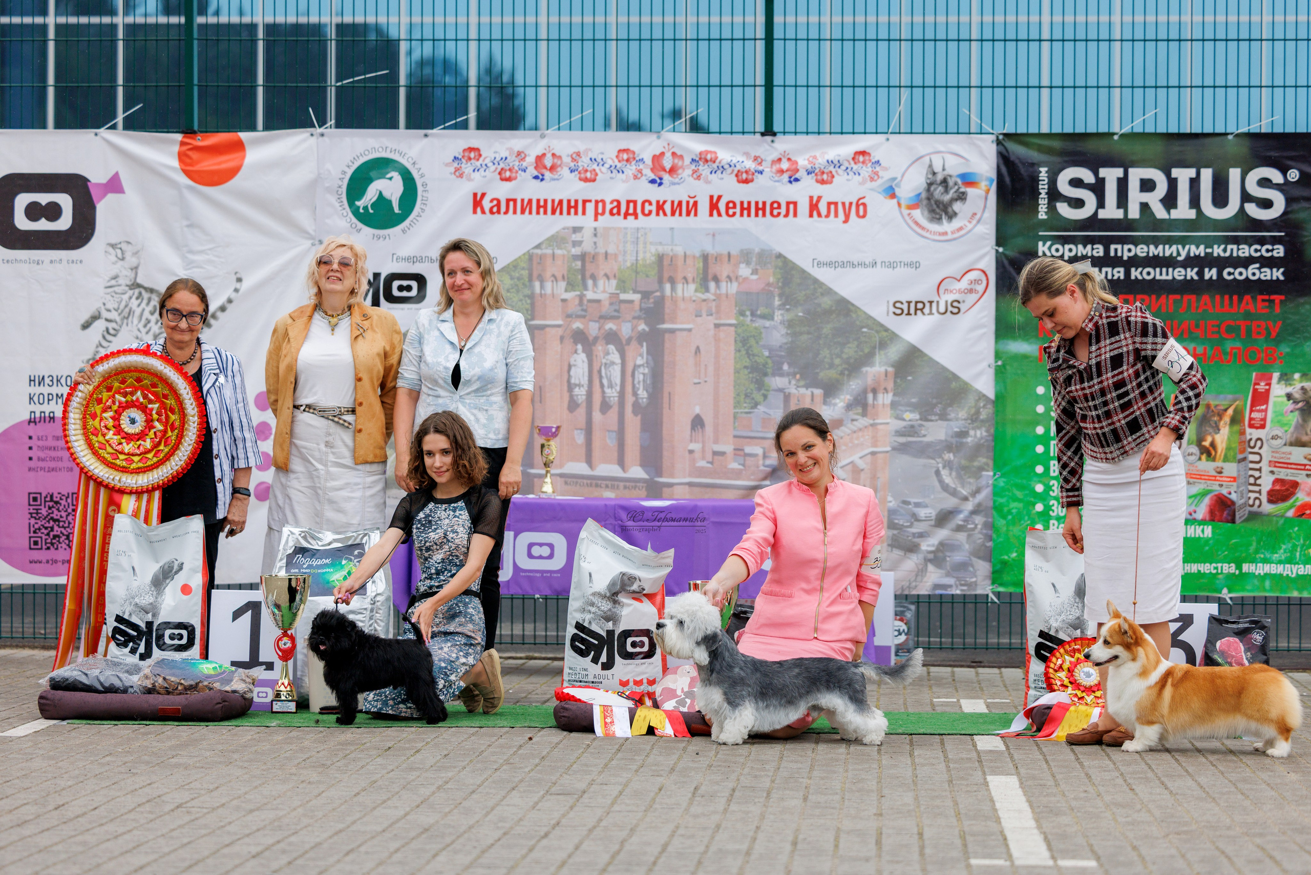 Калининград 25-27.07 Волгоград 1-3.08 2025. Фотограф-анималист Юлия Германика