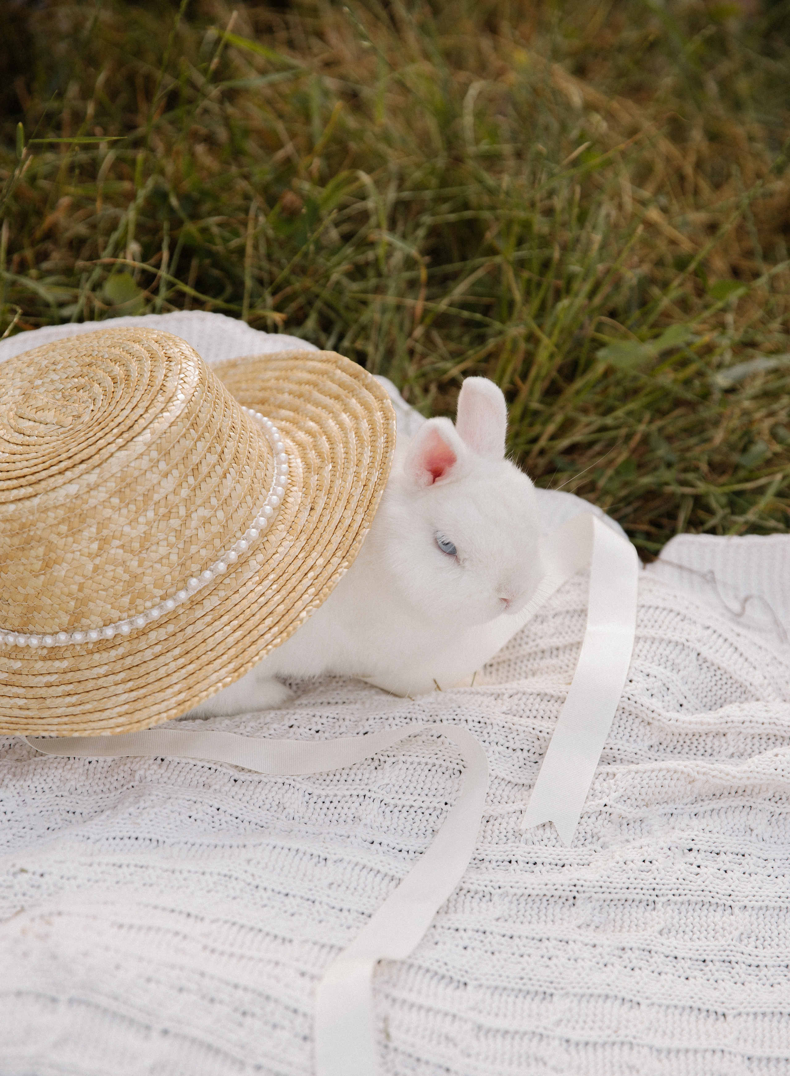 Семейная съемка на природе. Фотограф в Краснодаре и Краснодарском крае