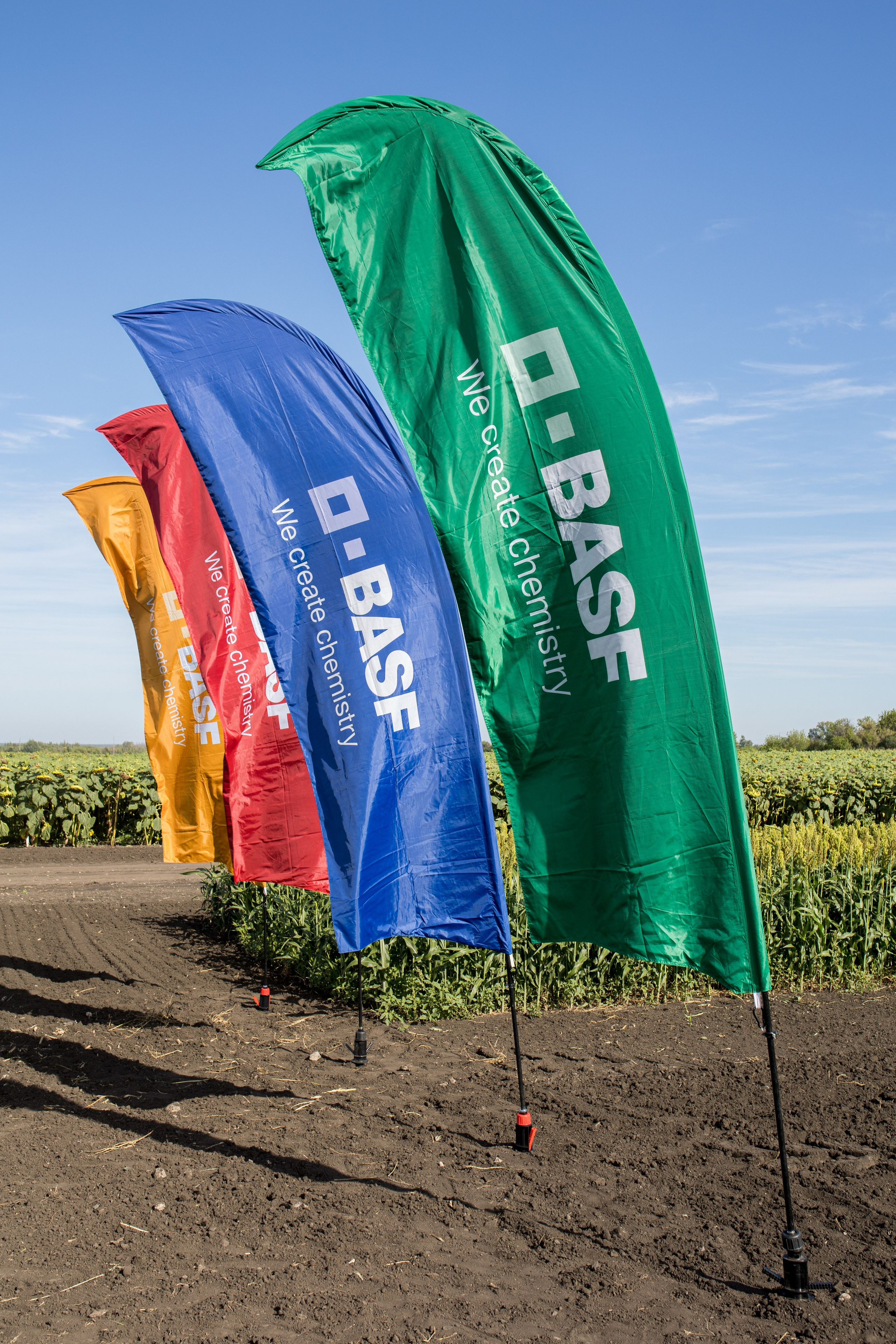 Решения для сельского хозяйства BASF 16.08.2022. Владислав Волков | Фотография и видеосъемка в Воронеже