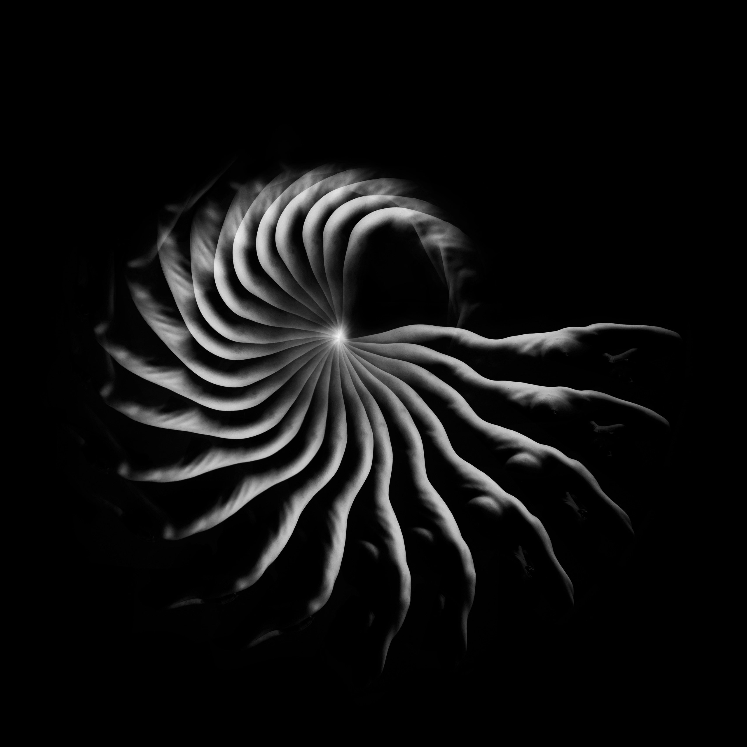 Ч/б композиция «наутилус помпилиус», графичный арт — фотограф Краснодар