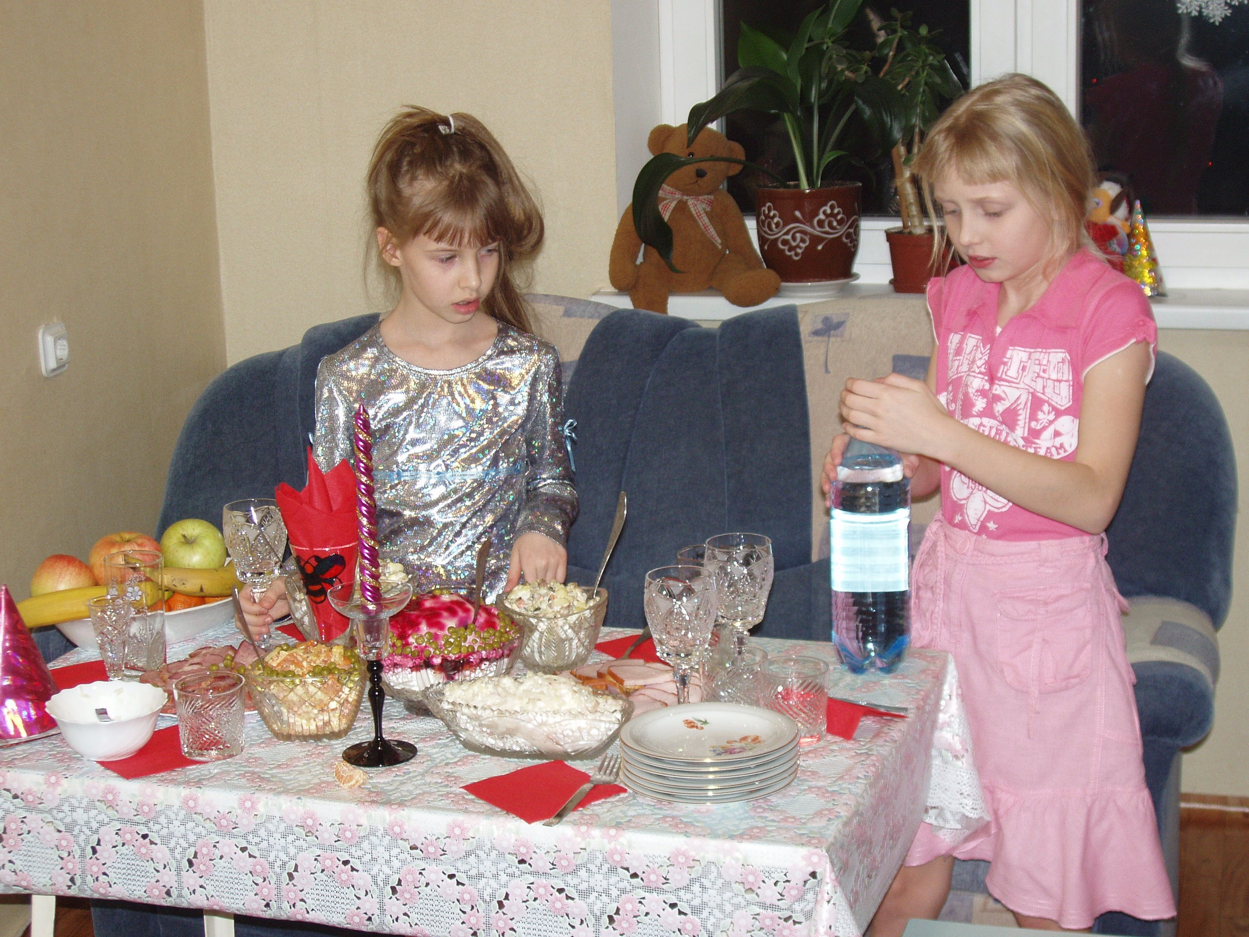 Новый Год 30.12.08-06.01.09 (Елка ТЭЦ, У Зевиных). Семейный, Свадебный фотограф СПБ Питер— Романова Екатерина