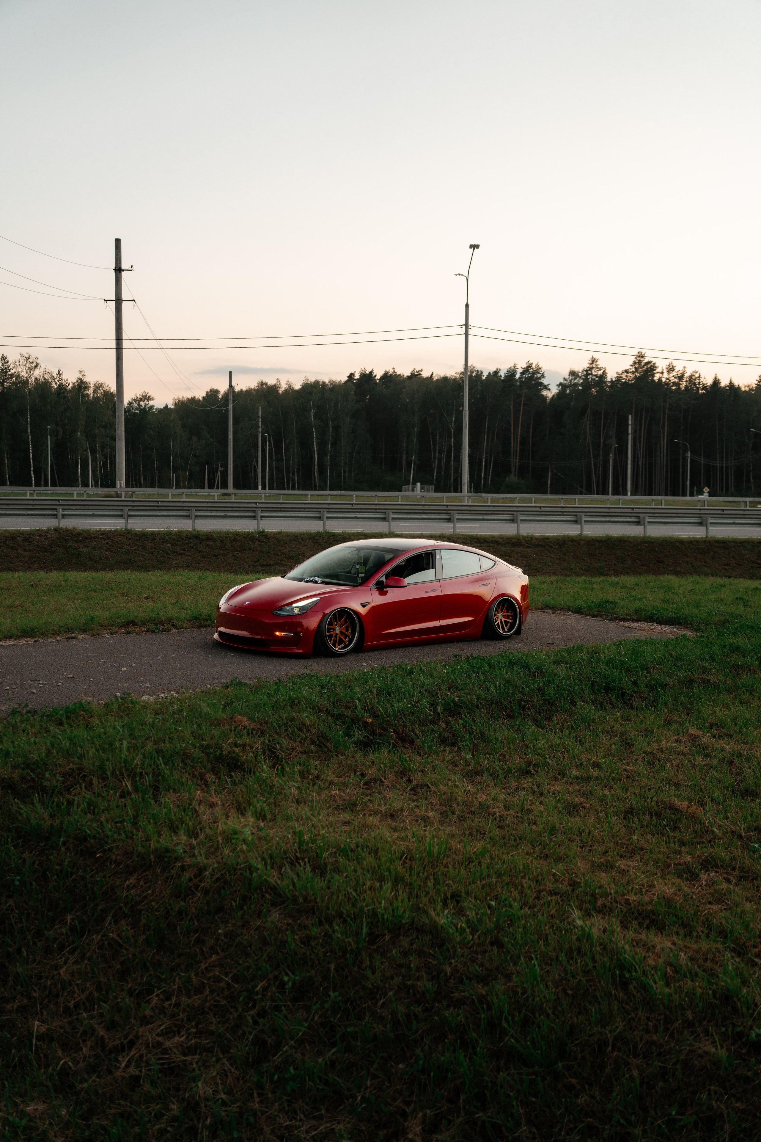 Tesla 3 Stance. Vlad Trykov