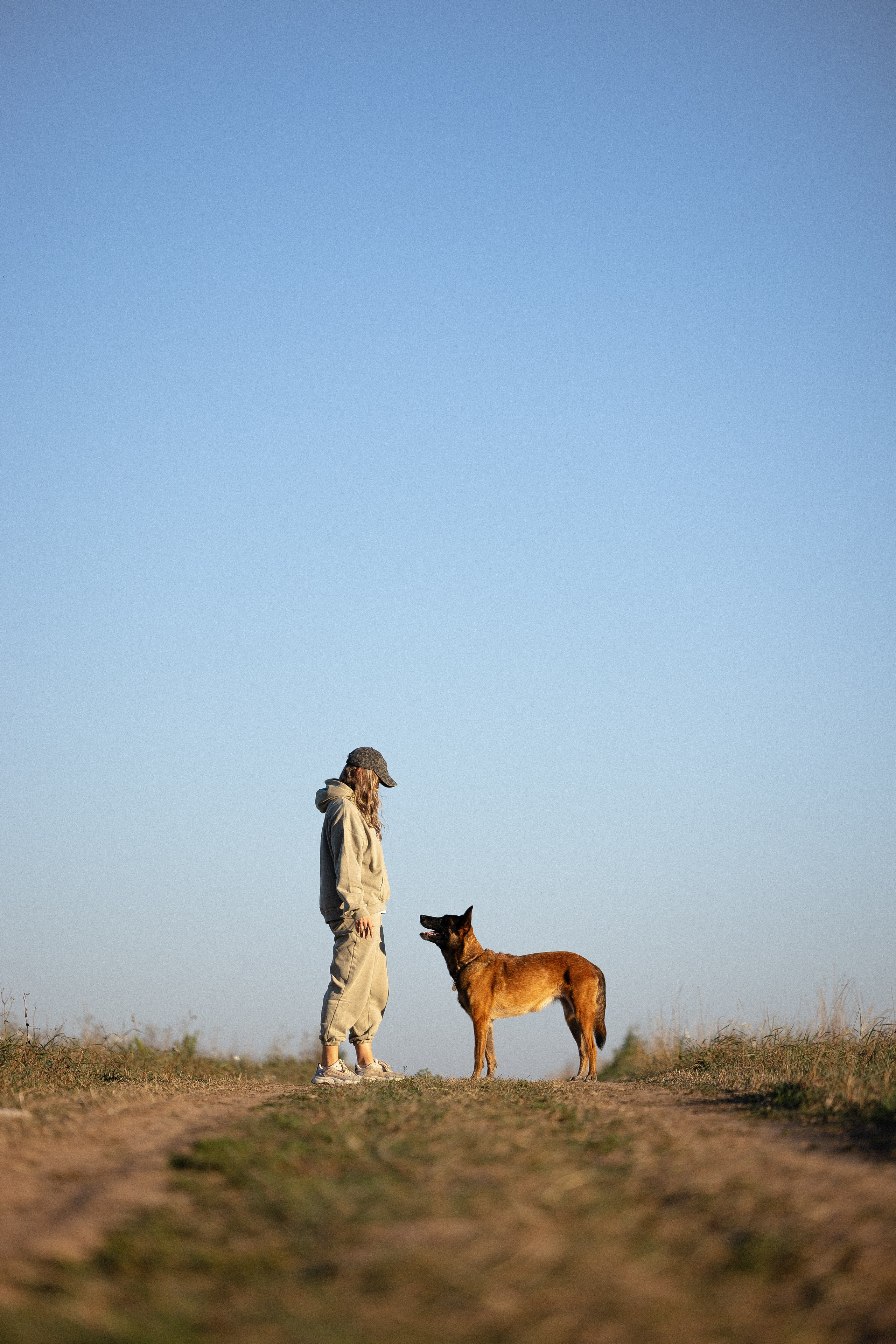 Женя, Афра и Молли. Фотограф и видеограф анималист Аганина Дарья
