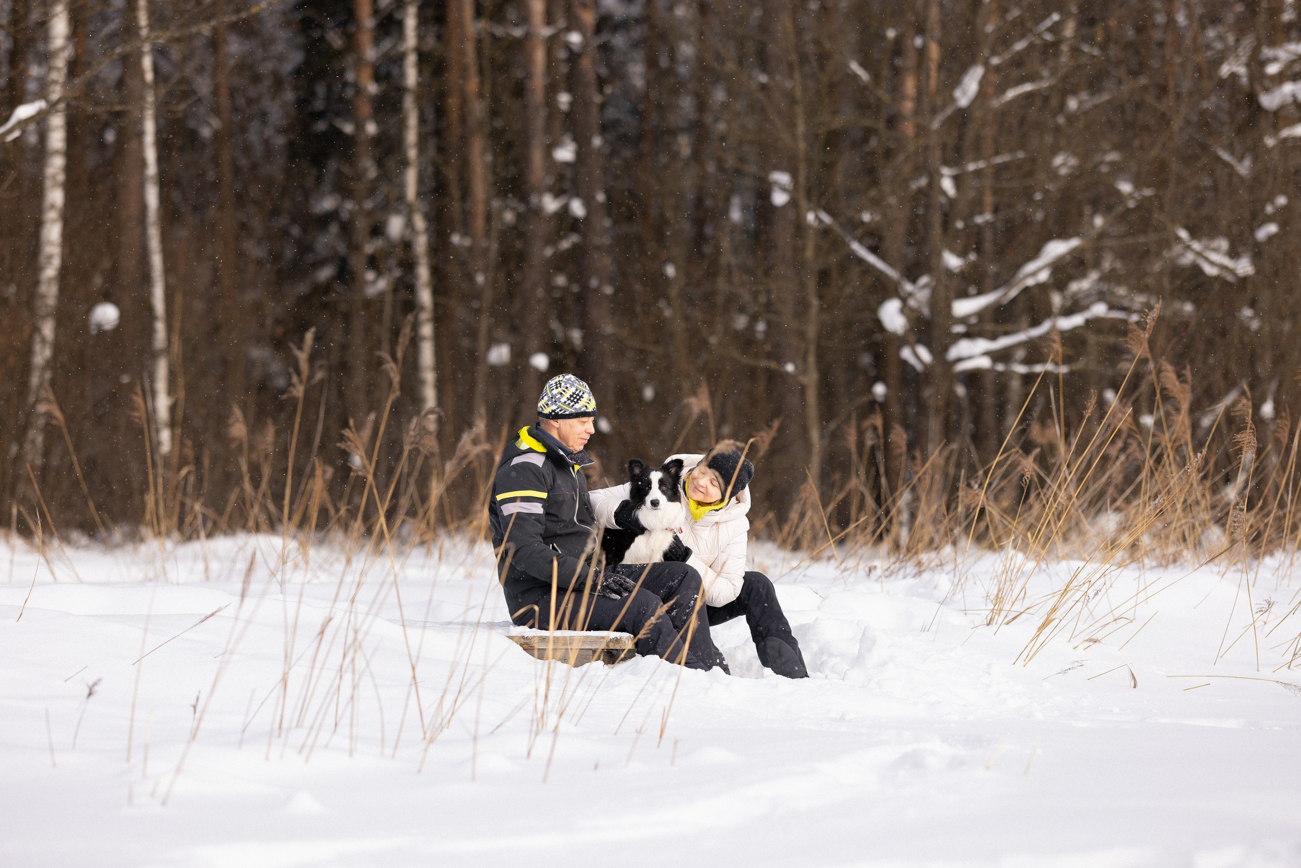Лилия, Алексей и Ариана. Фотограф и видеограф анималист Аганина Дарья