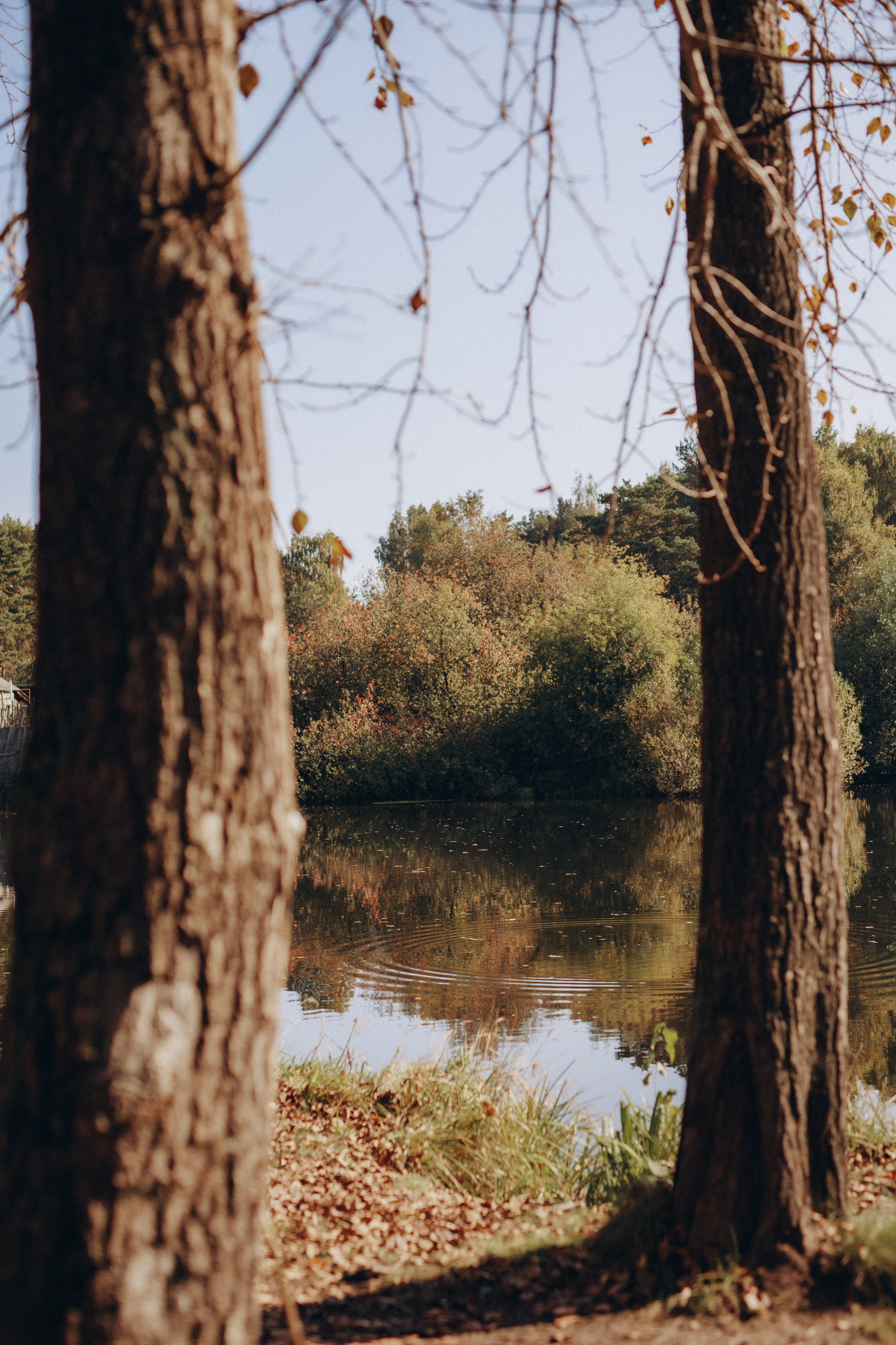 Елена и семья. Фотограф Анастасия Петрова