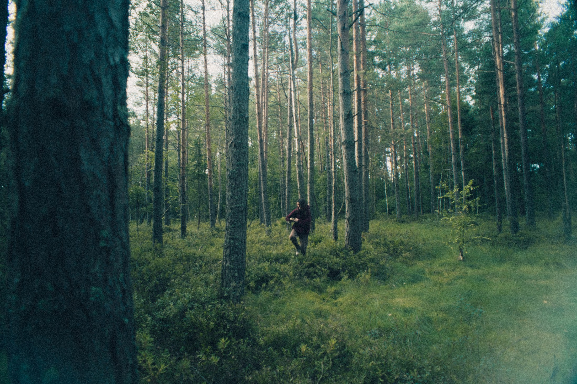 Наощупь. Алиса Аницкая