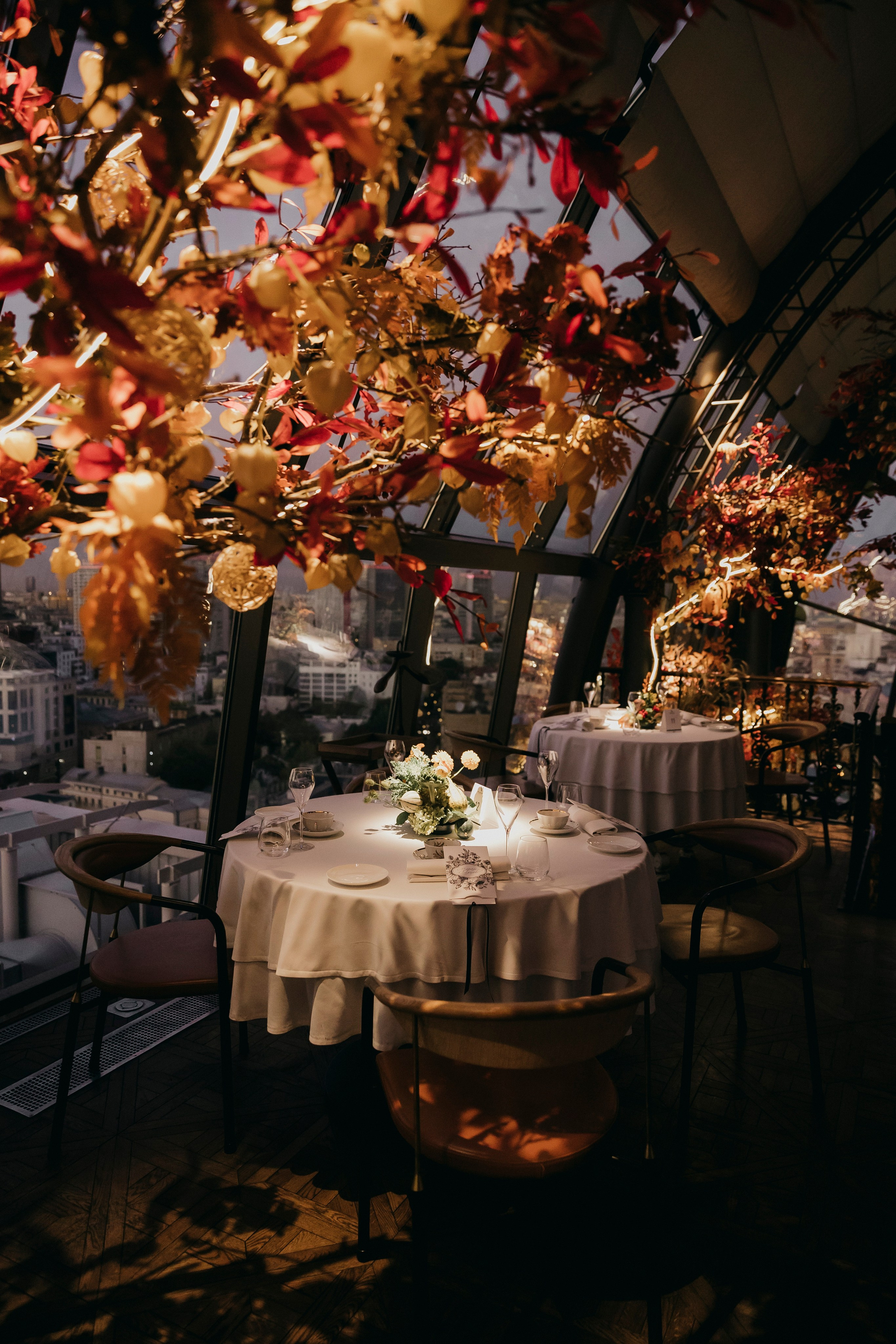 12th Anniversary White Rabbit, Moscow. «Птичка на проводе»: информационный портал в Москве