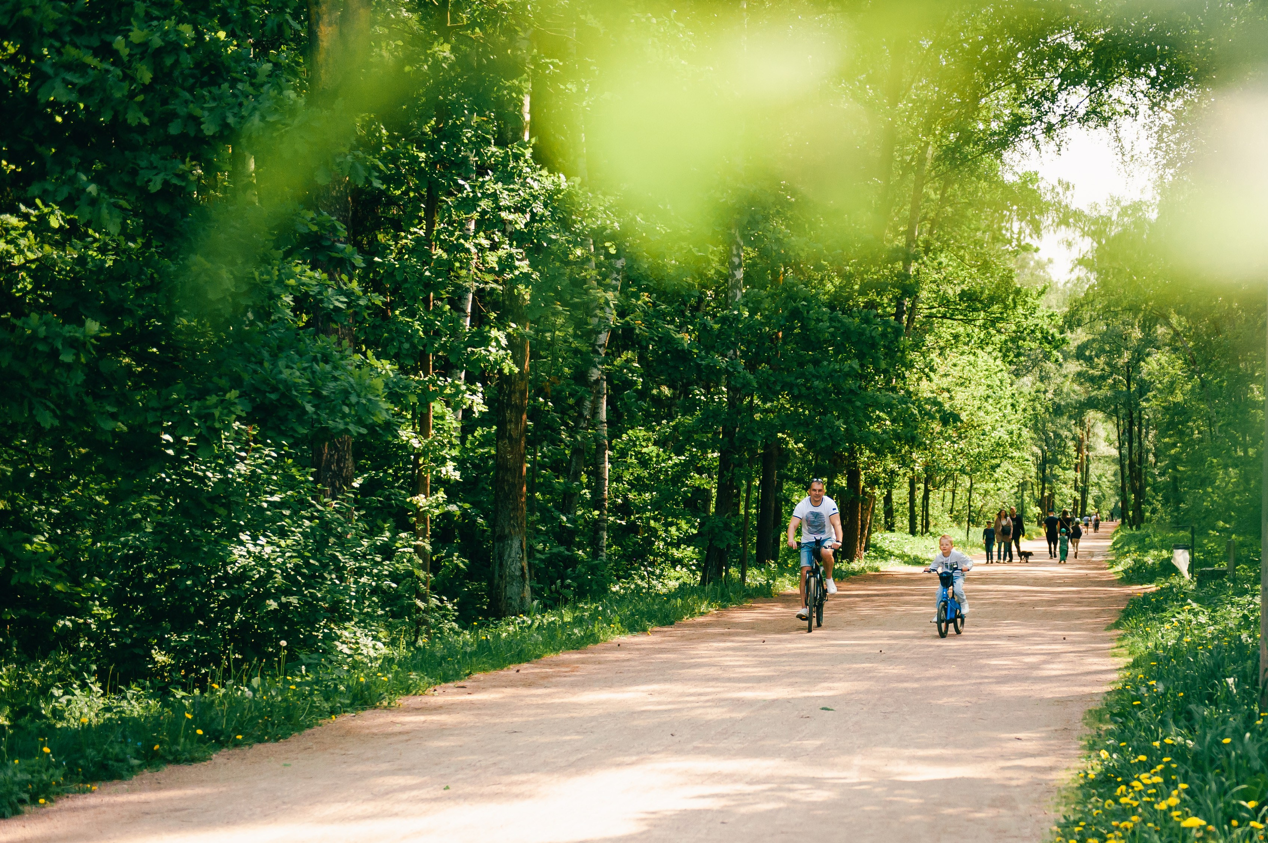 фото папы с сыном, летняя фотосессия